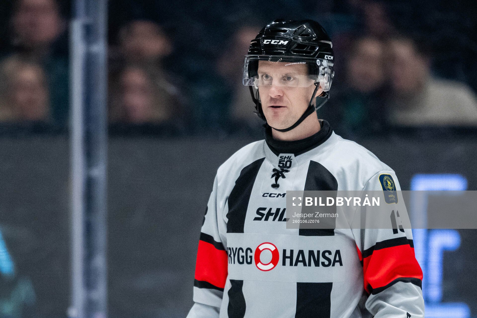 Domare Stefan Leijonklo