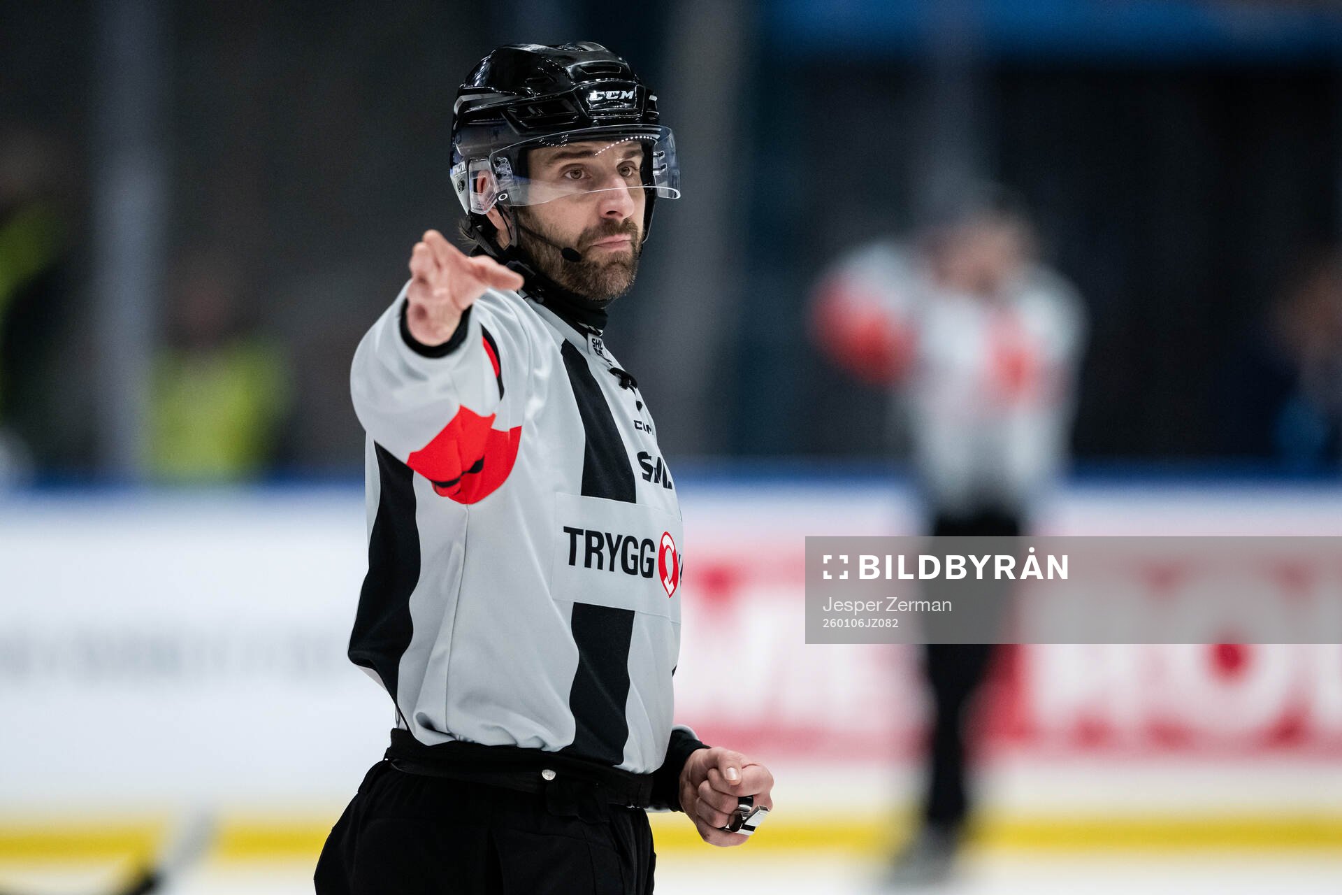 Domare Mikael Sjöqvist