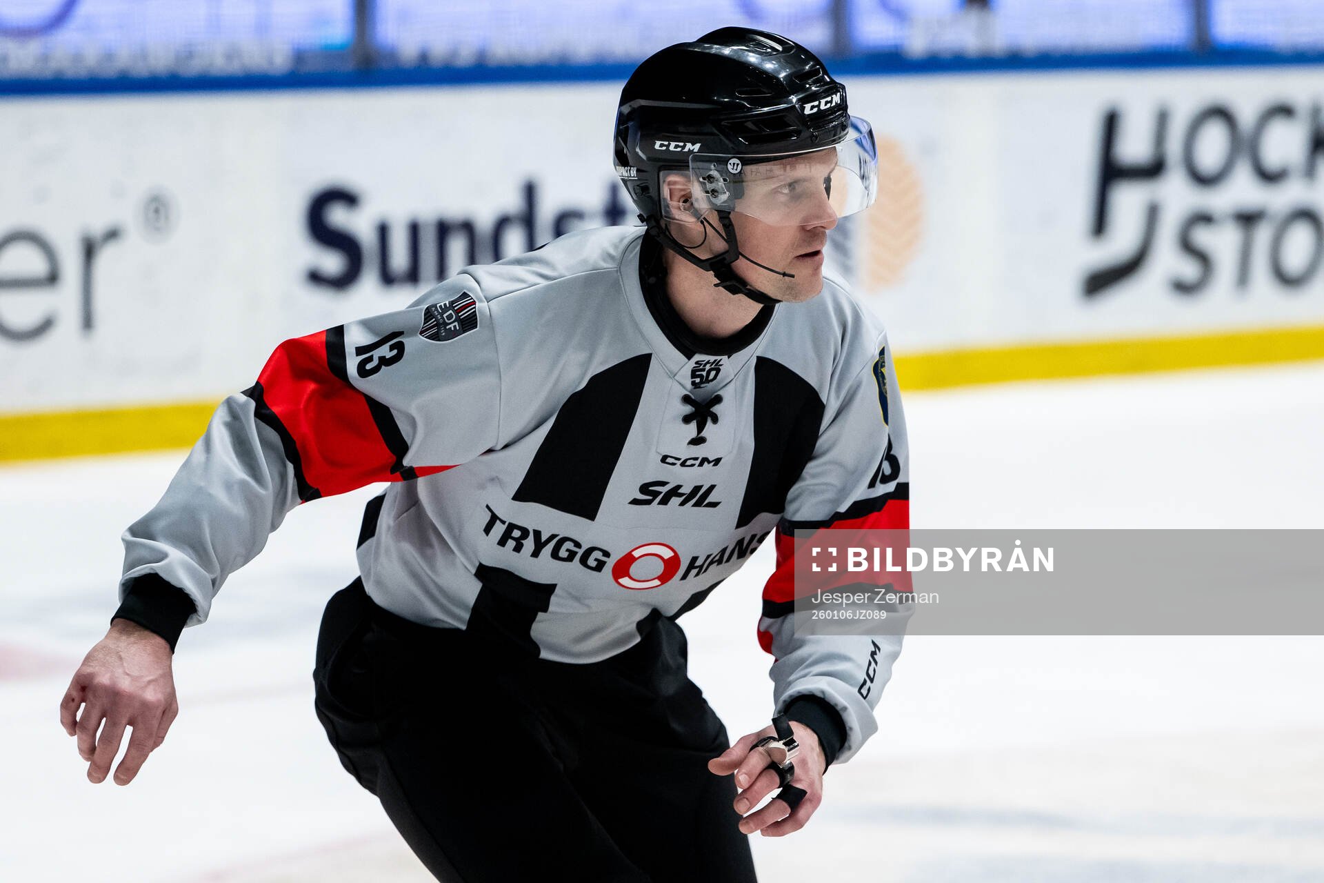Domare Stefan Leijonklo