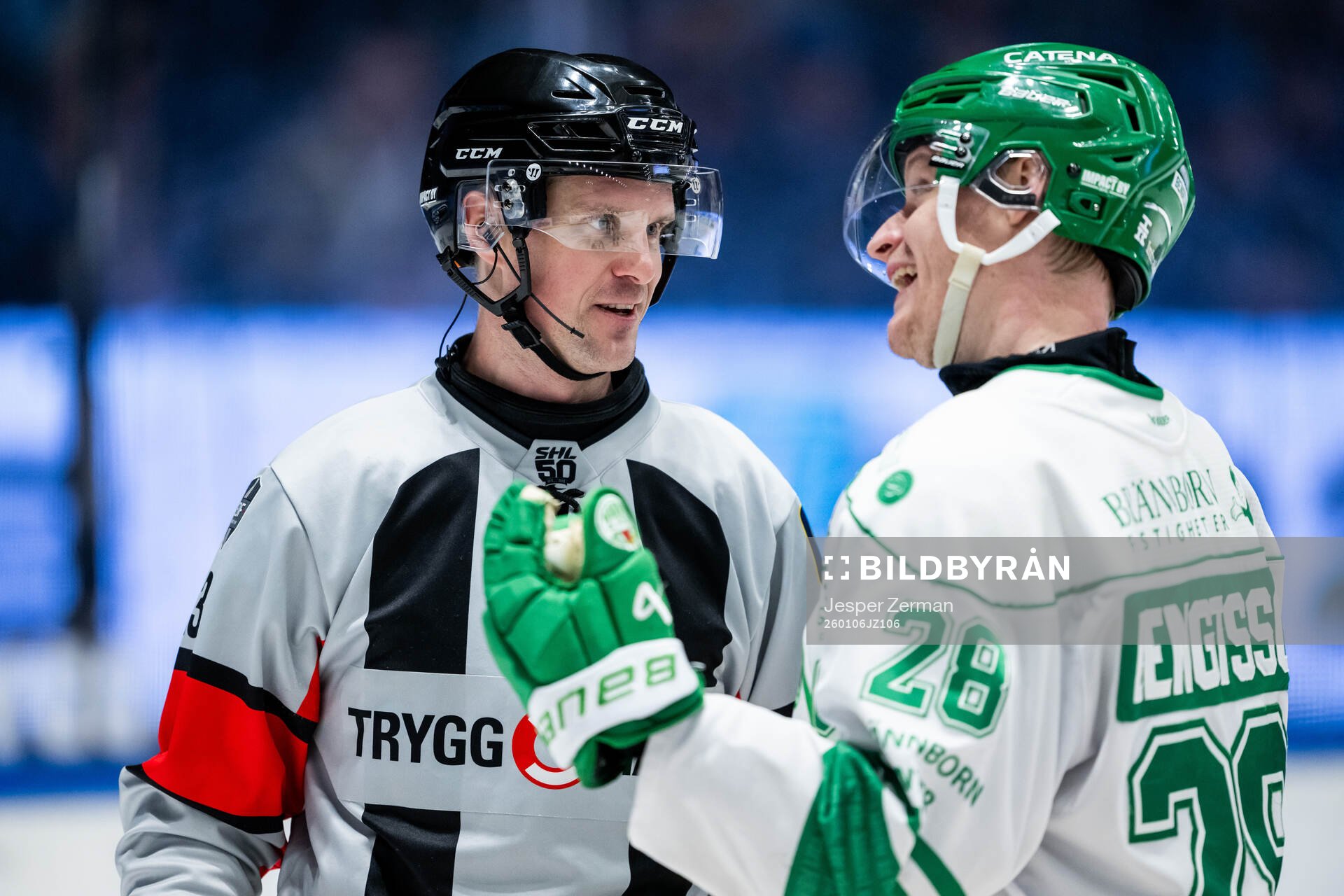 Domare Stefan Leijonklo och Rögles Anton Bengtsson