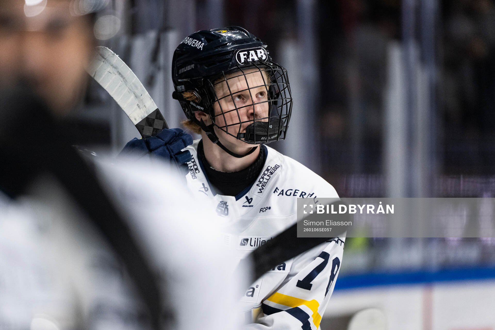 HV71s Malte Gustafsson