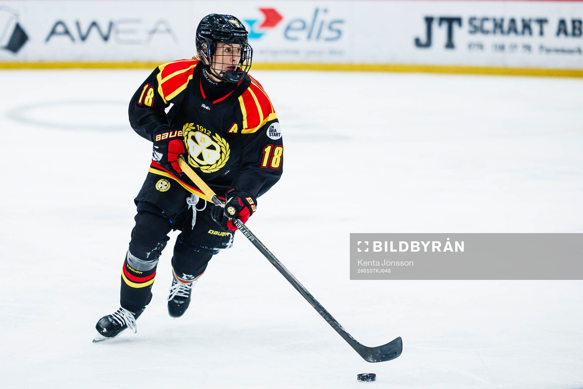 Brynäs Jenniina Nylund