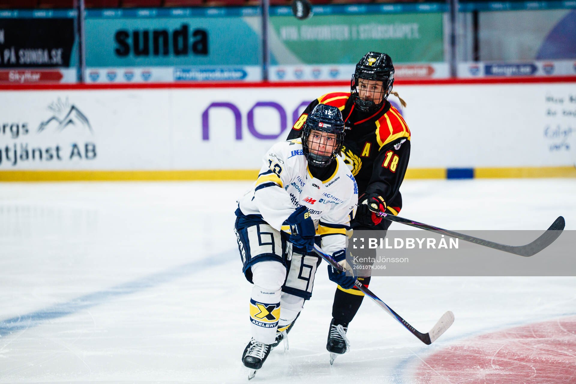 HV71s Eimear Leacy och Brynäs Jenniina Nylund