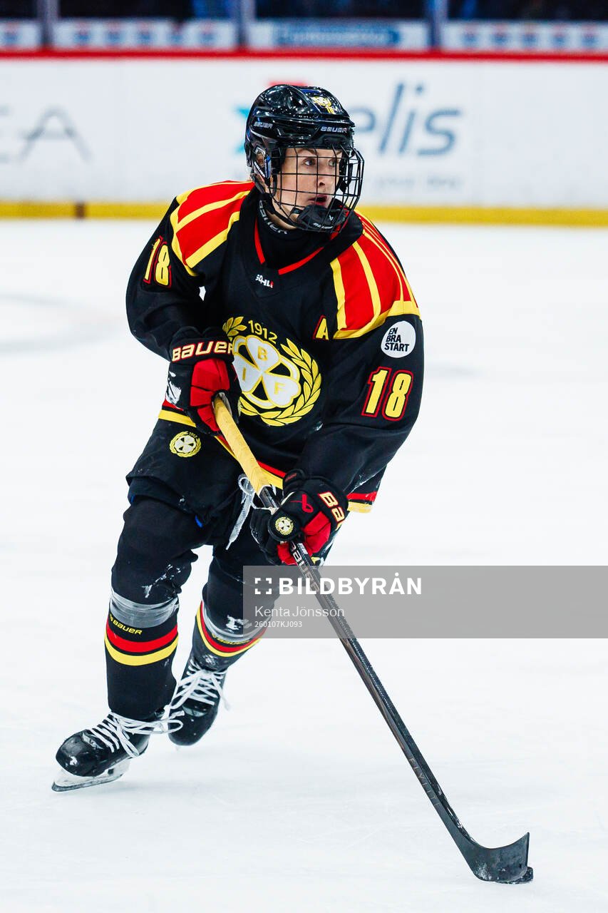 Brynäs Jenniina Nylund
