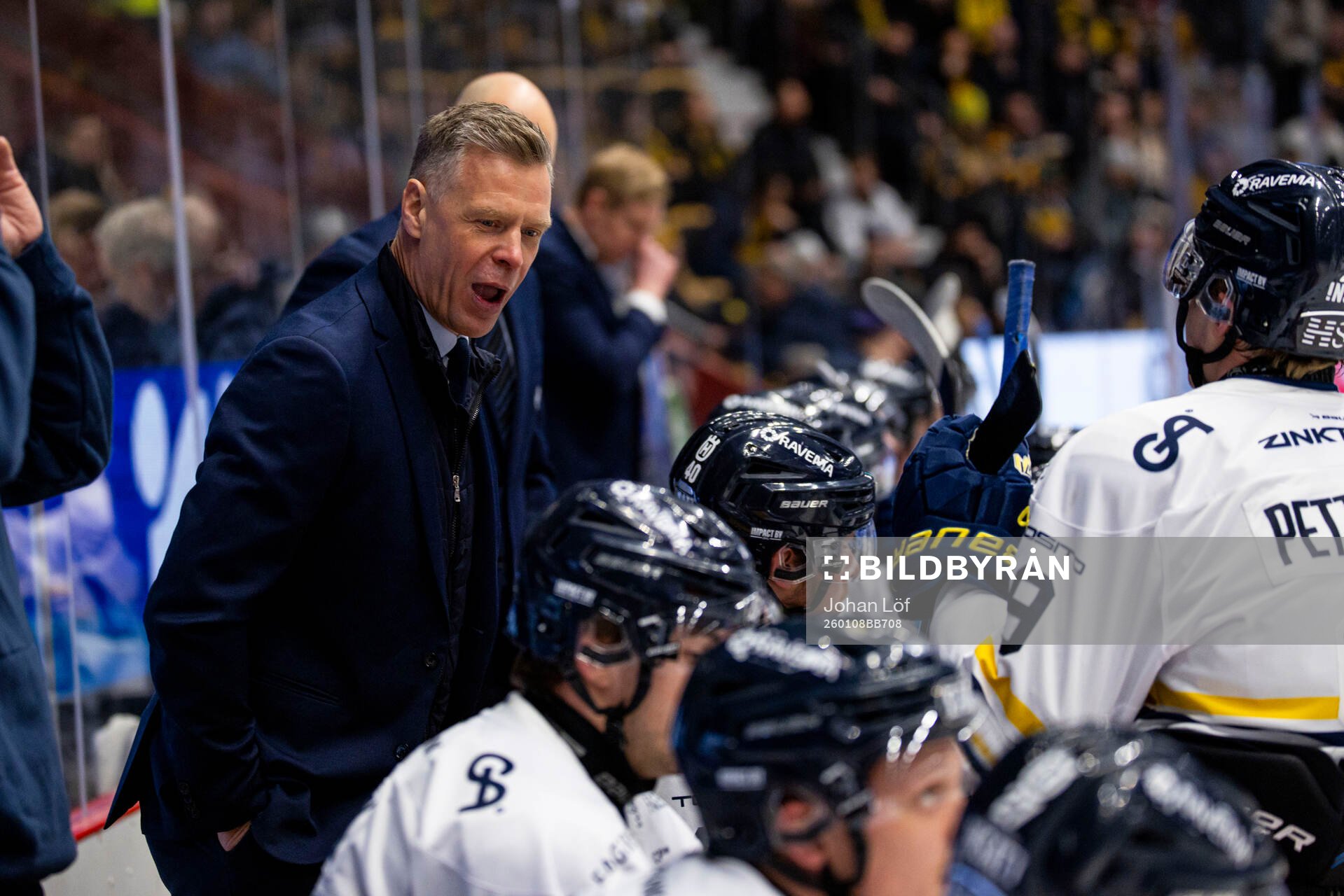 HV71s assisterande tränare Nicklas Rahm