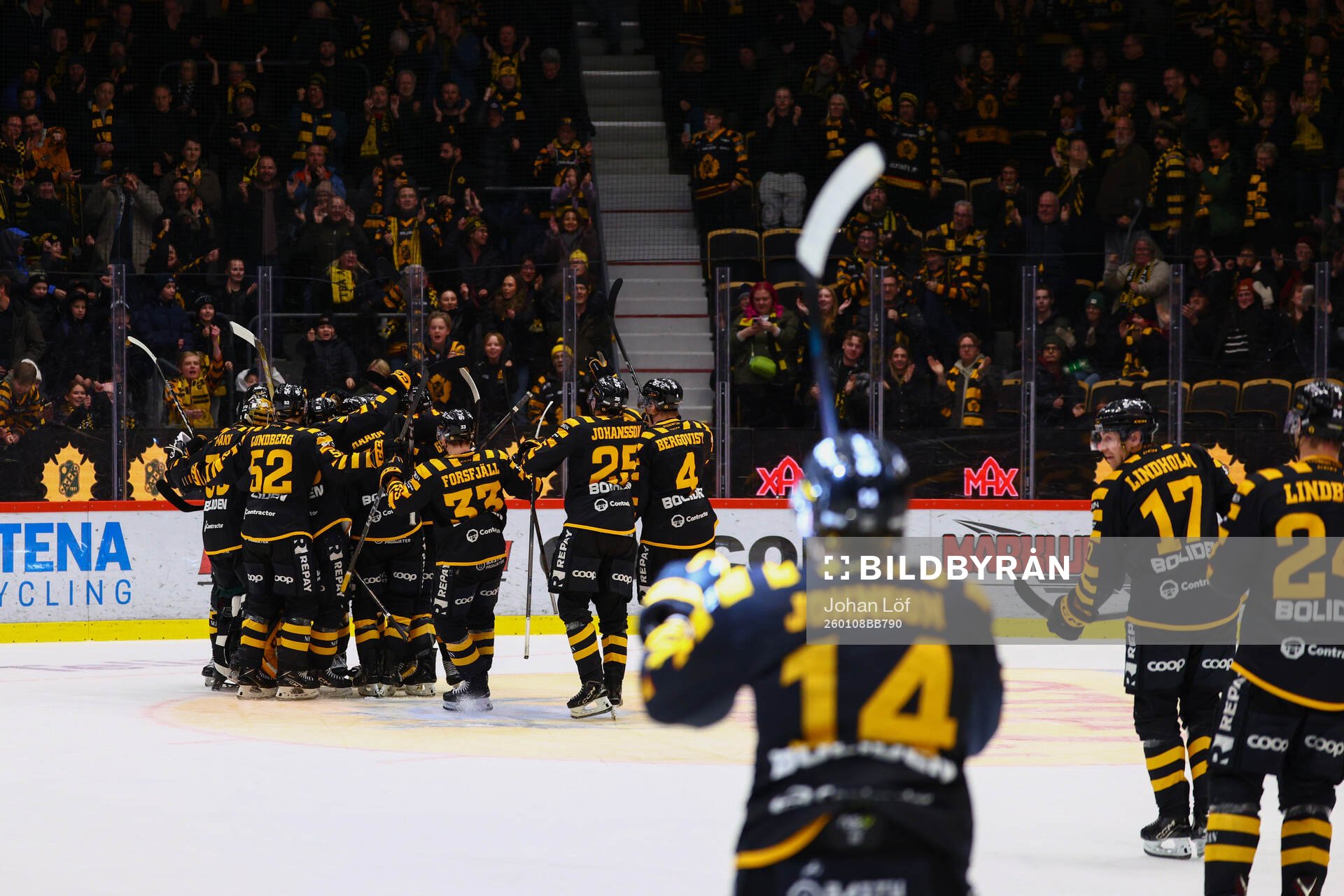 Spelare ur Skellefteå jublar