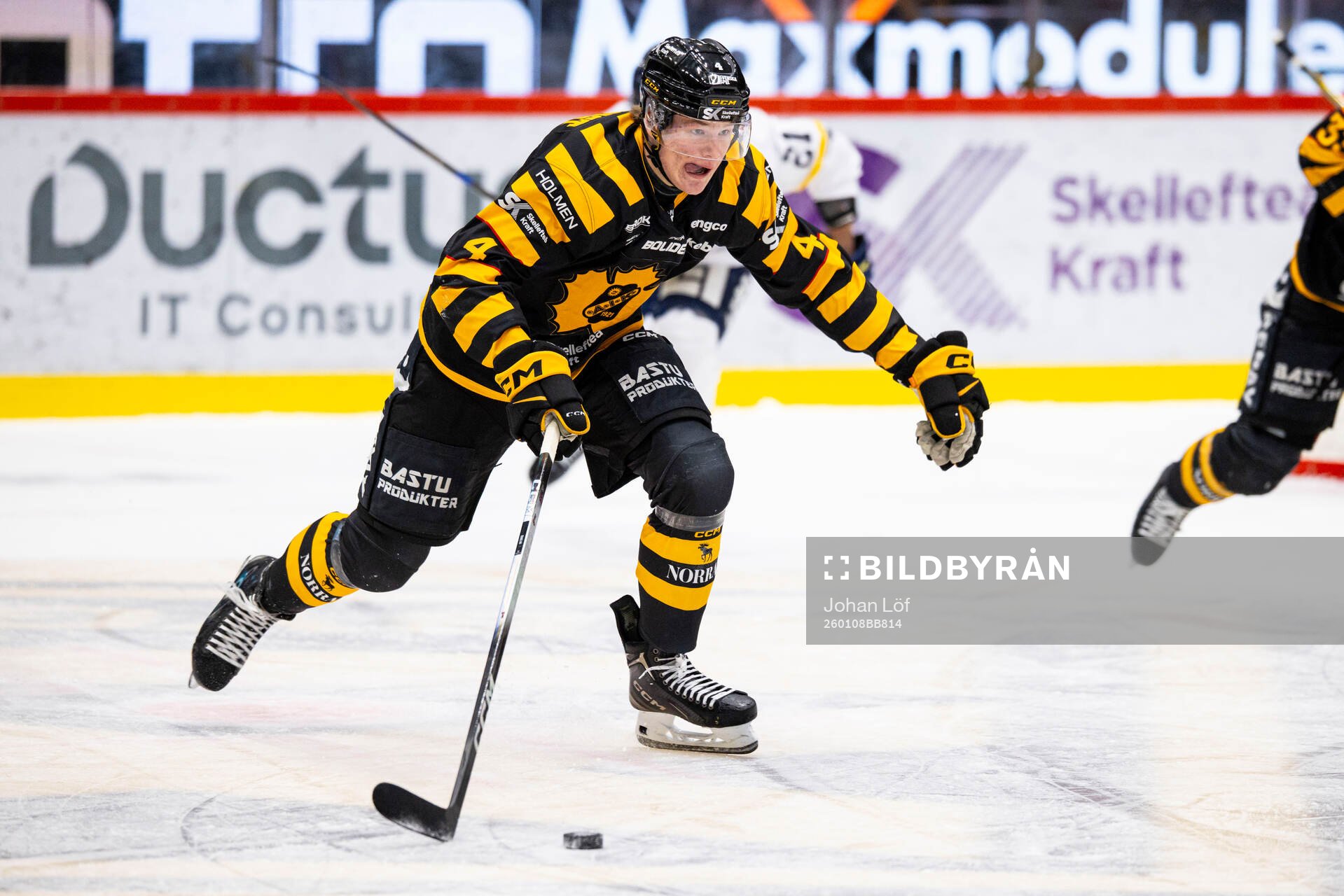 Skellefteås Rasmus Bergqvist