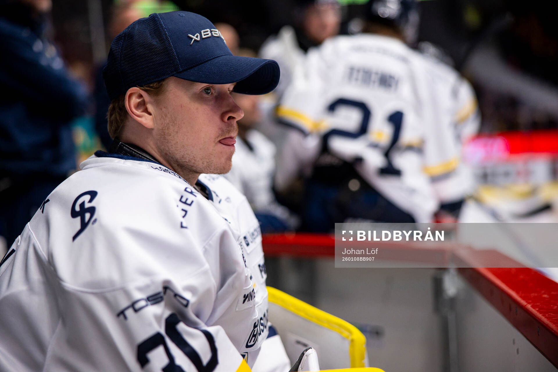 HV71s målvakt Lassi Lehtinen