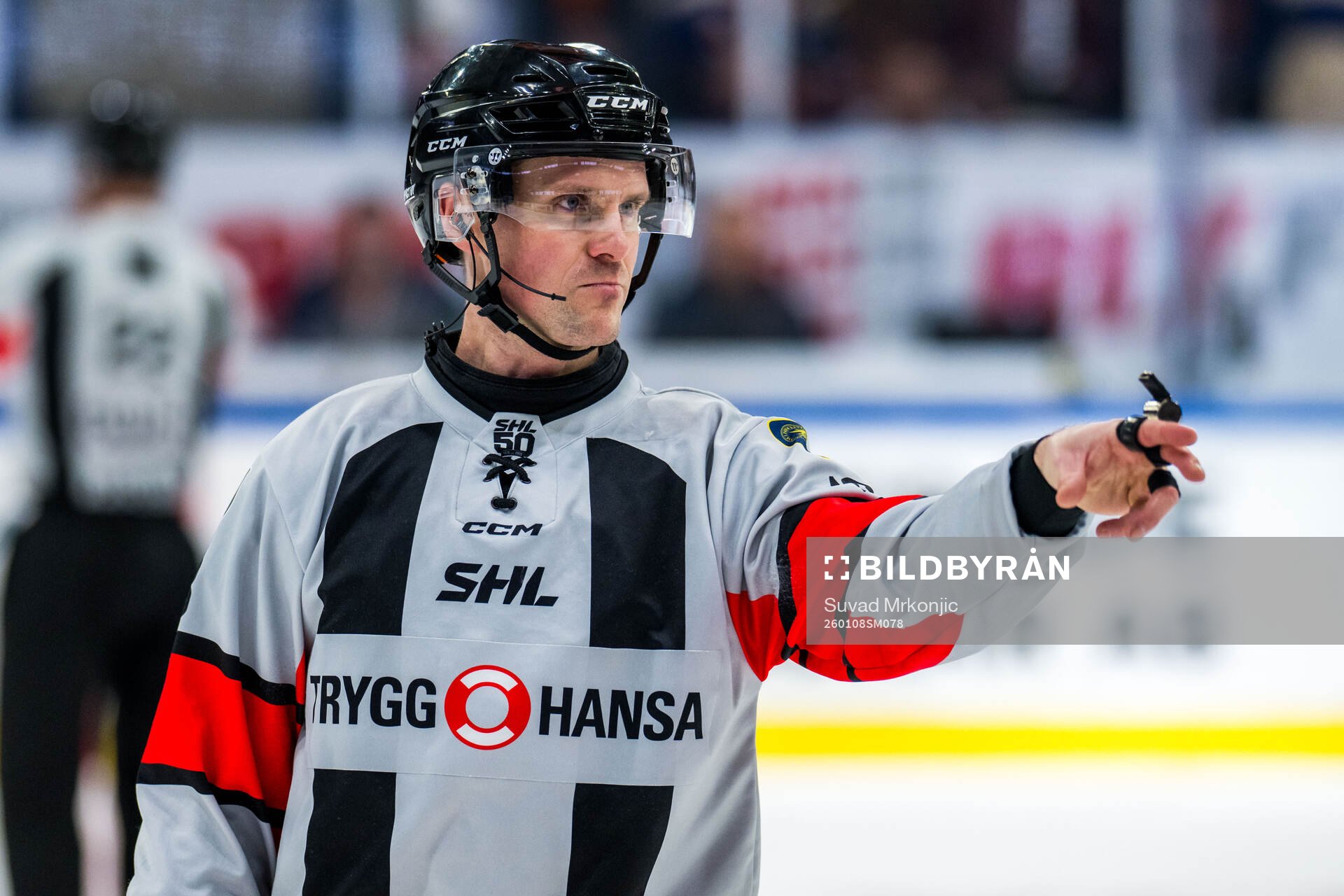 Domare Stefan Leijonklo