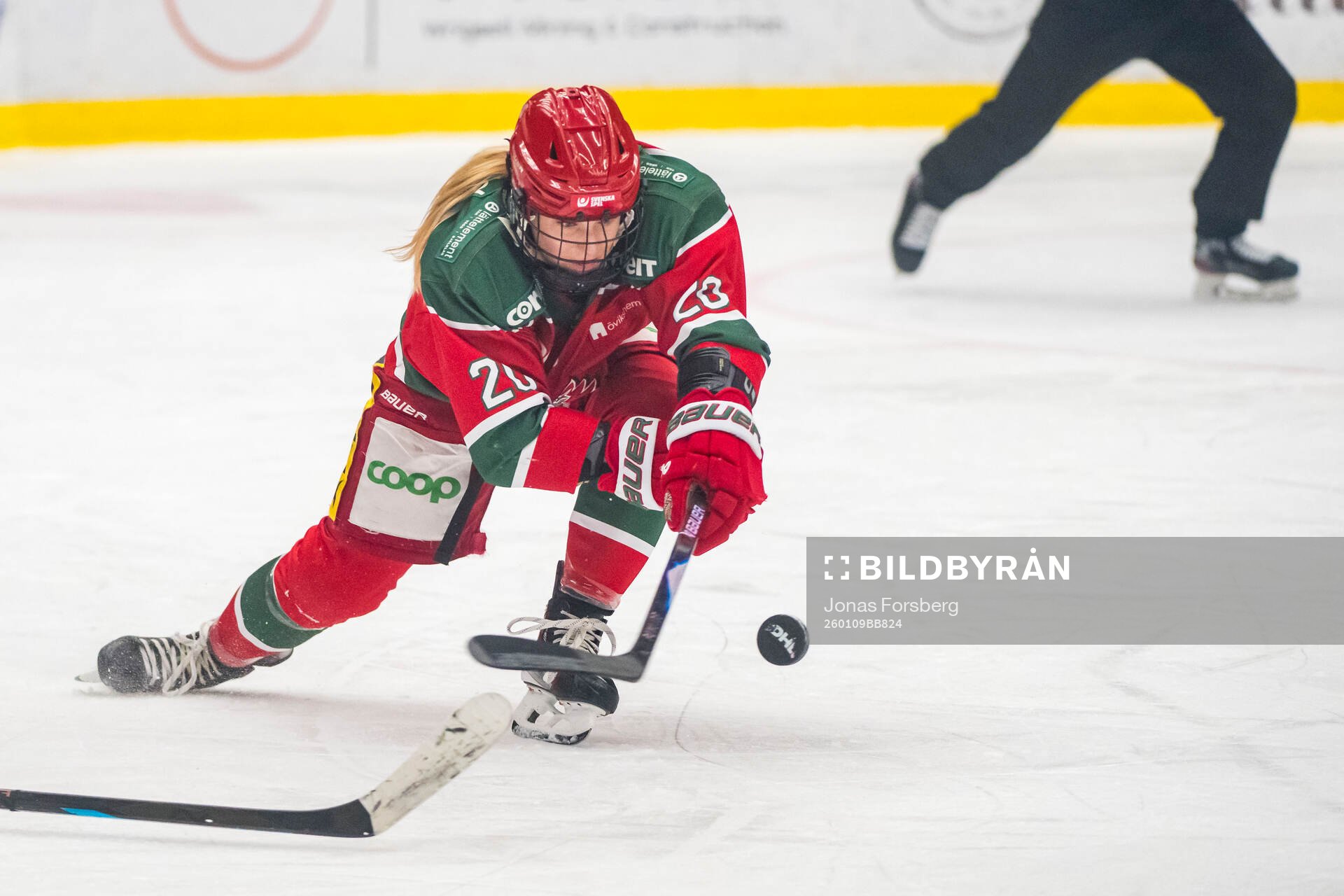 Modos Alyssa Mcleod