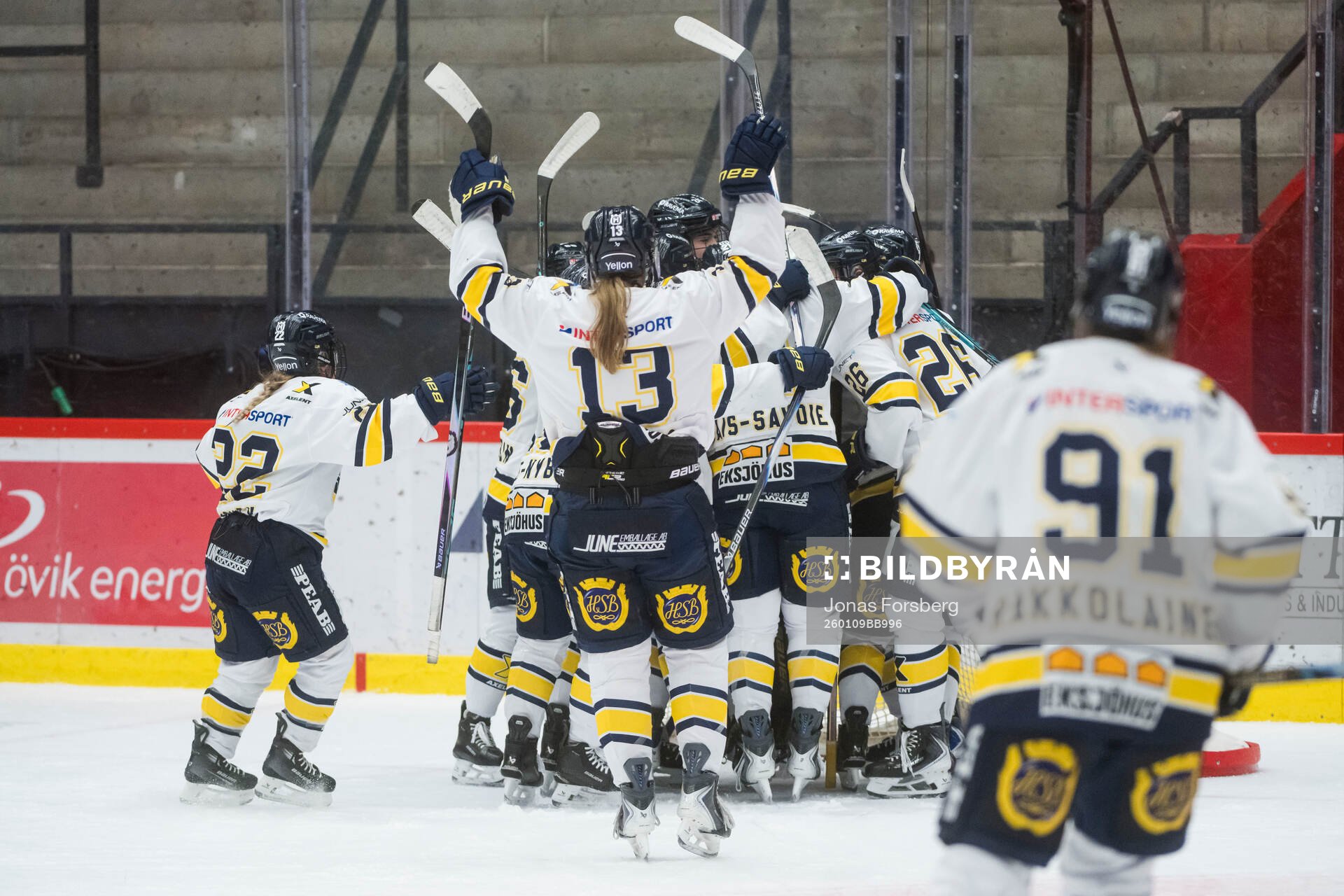 HV71s spelare jublar över vinsten