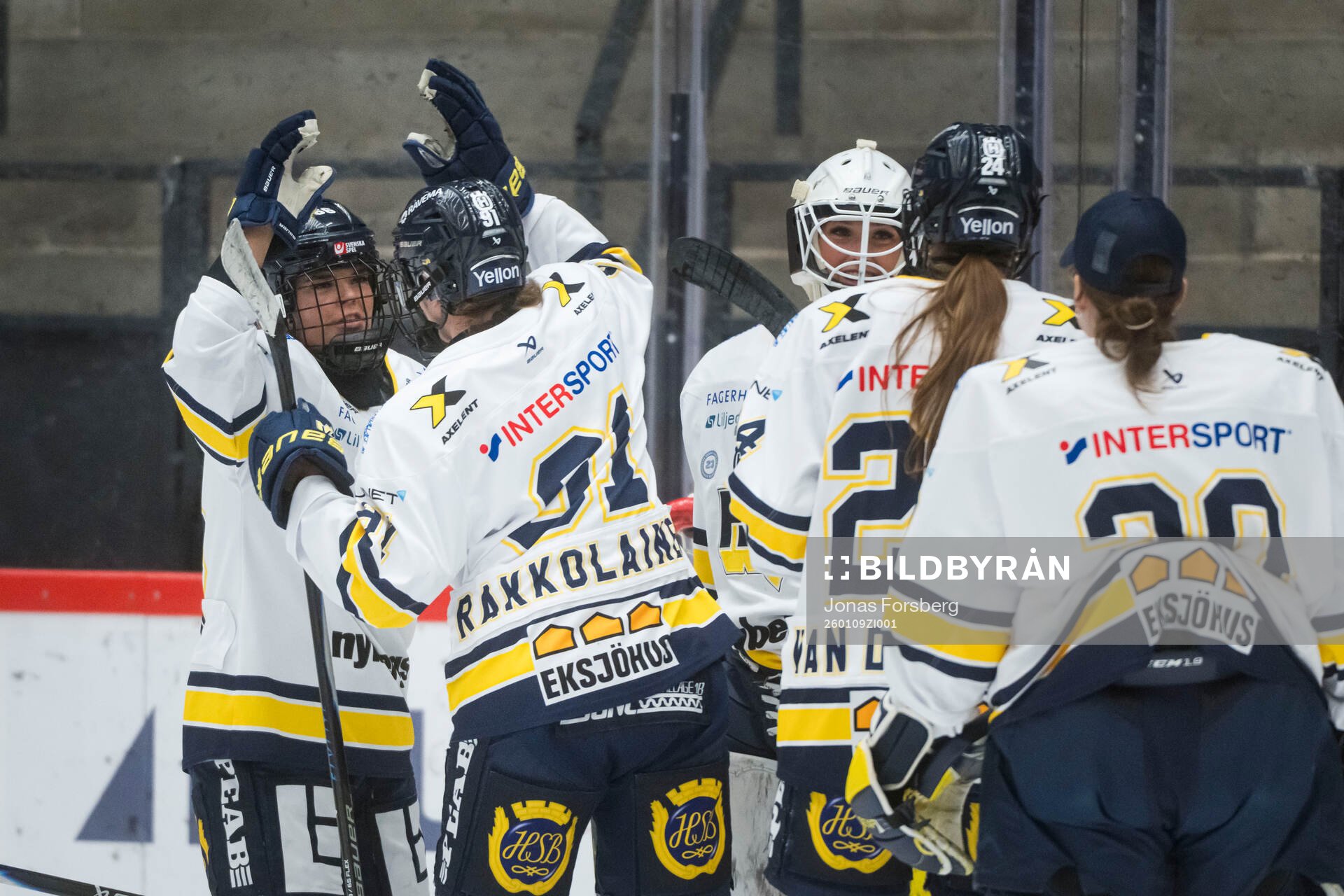 HV71s spelare jublar