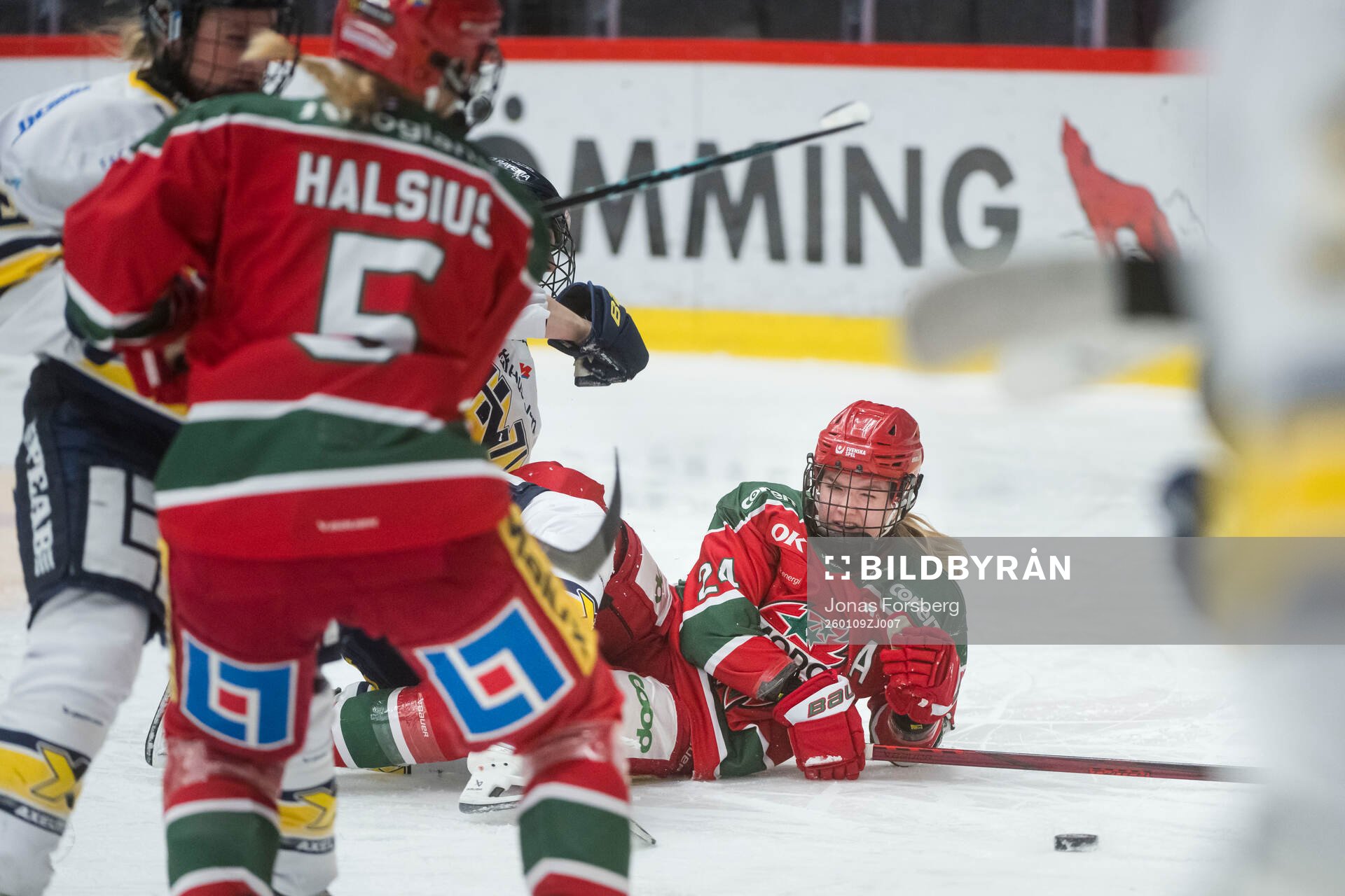 Modos Ebba Hedqvist