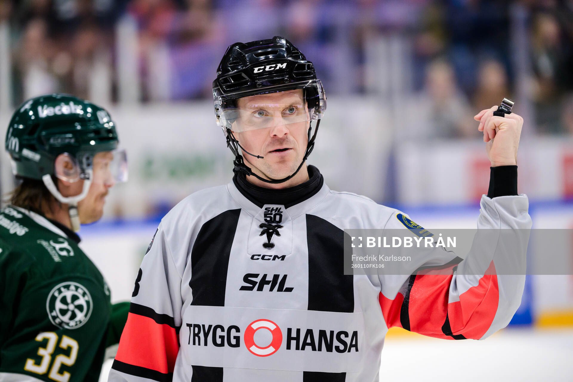 Domare Stefan Leijonklo