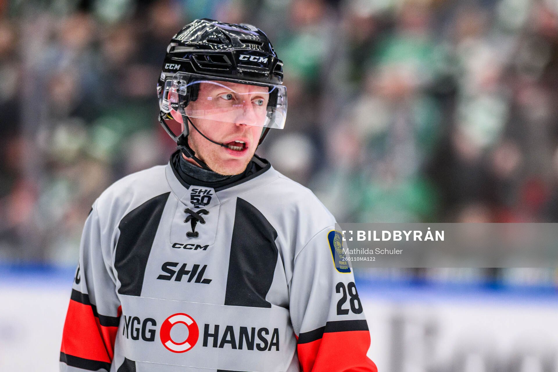 Domare Mikael Holm
