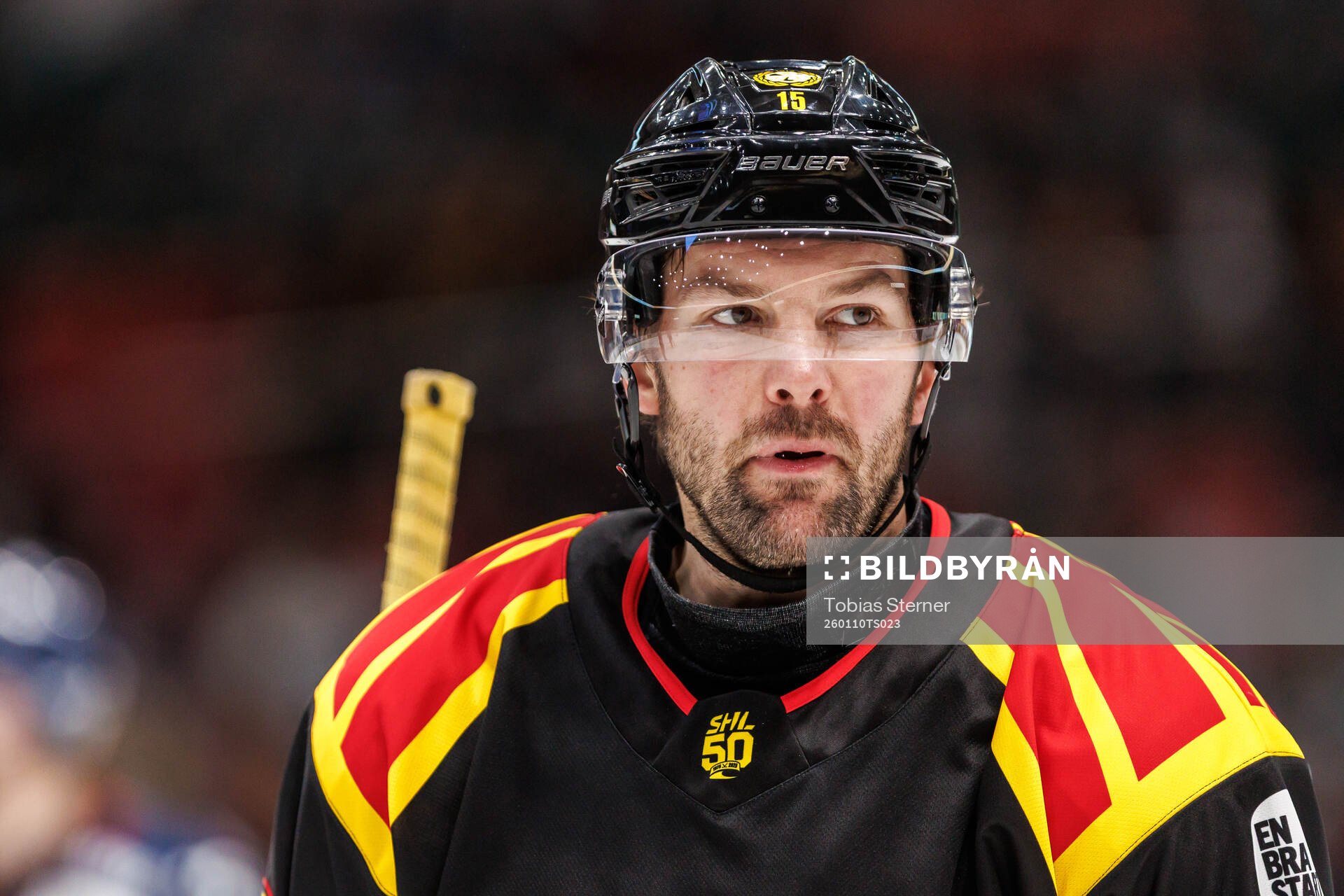 Brynäs Simon Bertilsson