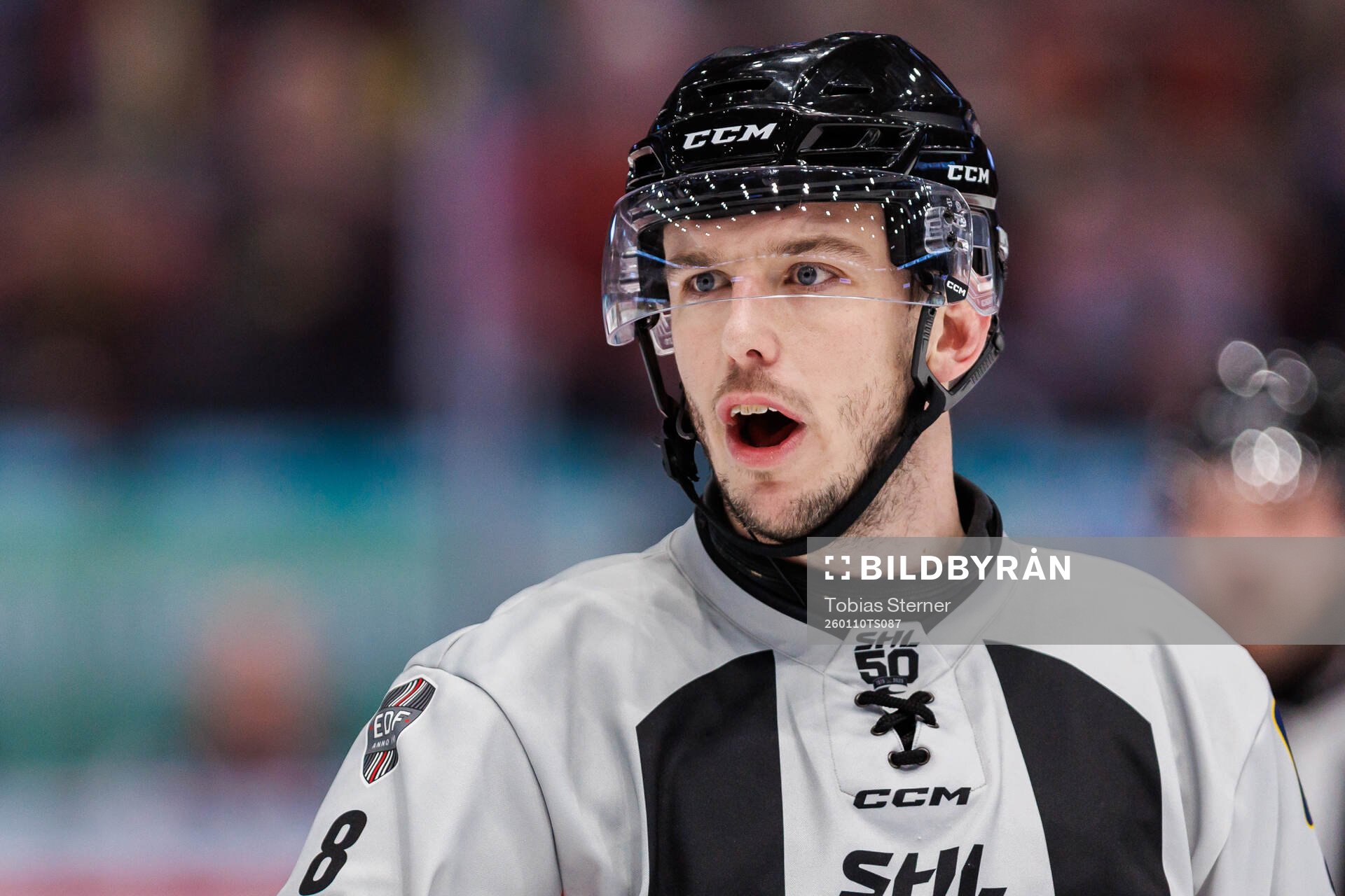 Domare Oscar Niklasson