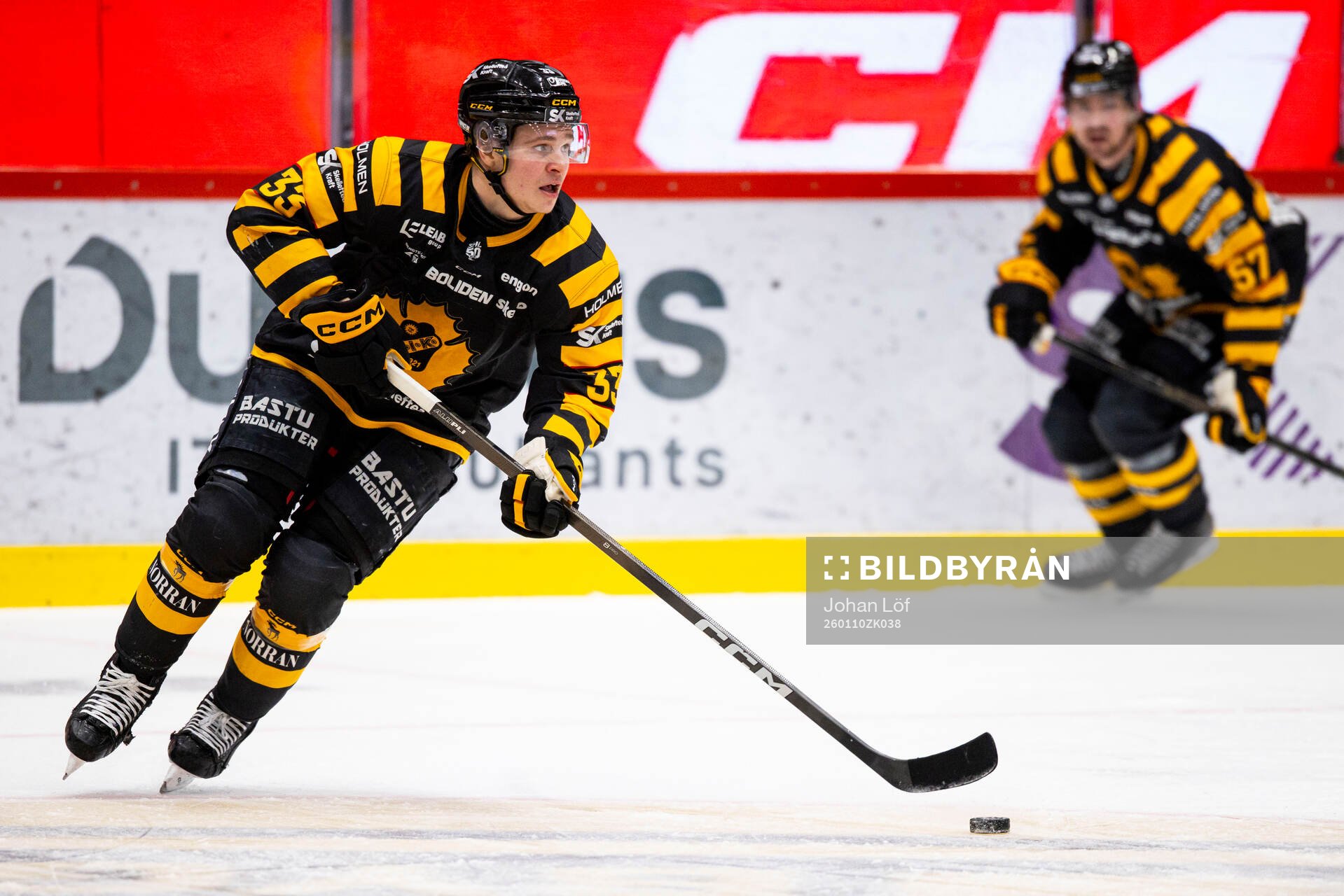 Skellefteås Zeb Forsfjäll
