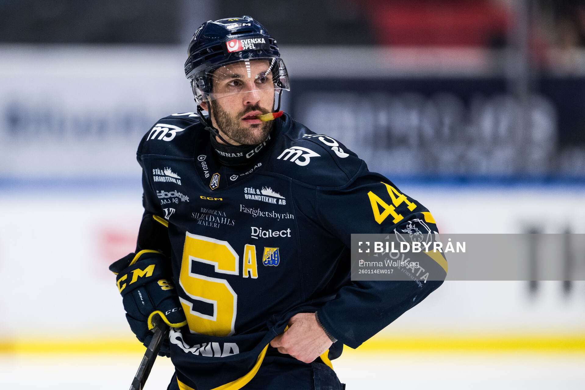 Södertäljes Niklas Arell