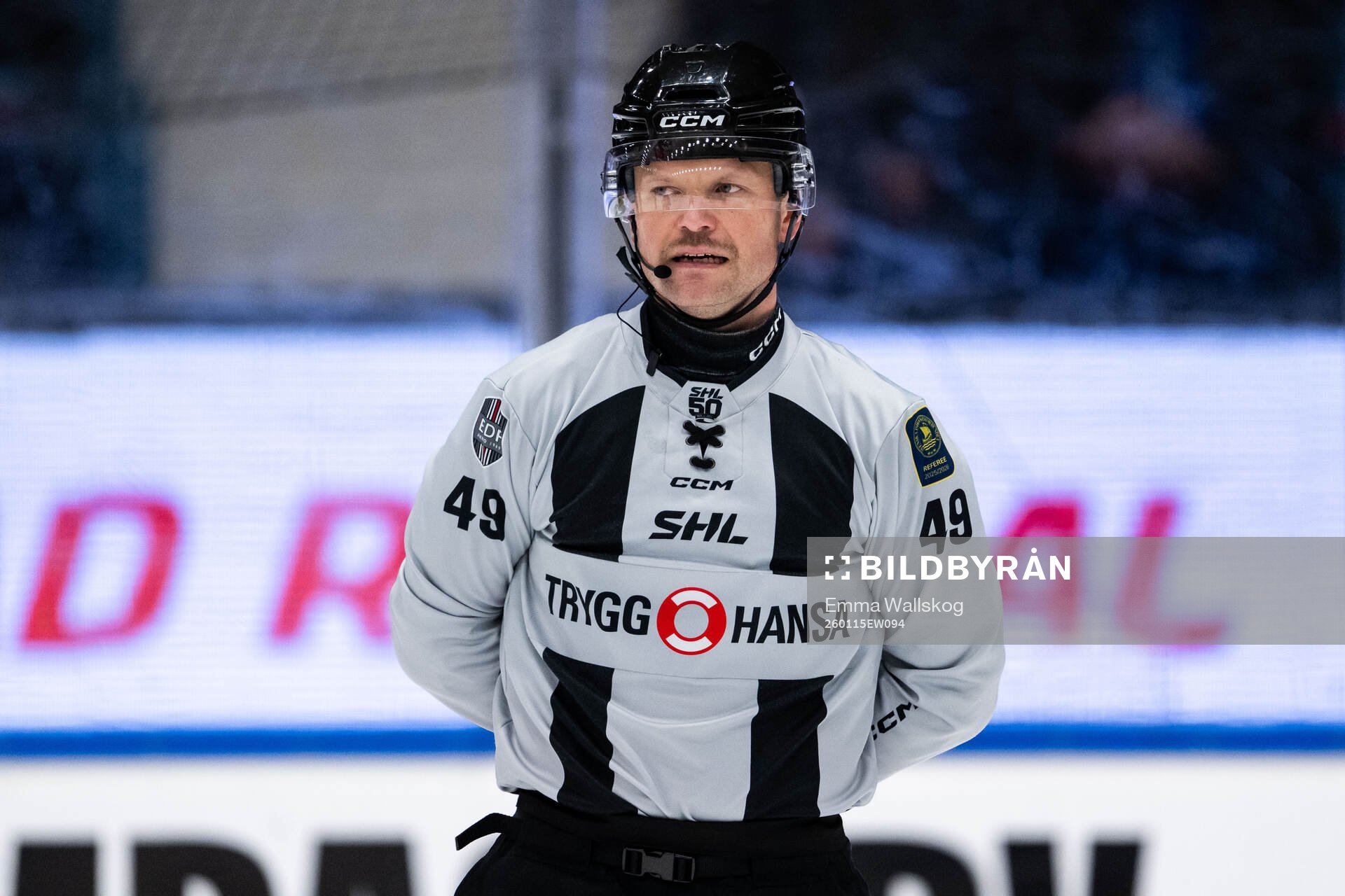 Linjedomare Ludvig Lundgren
