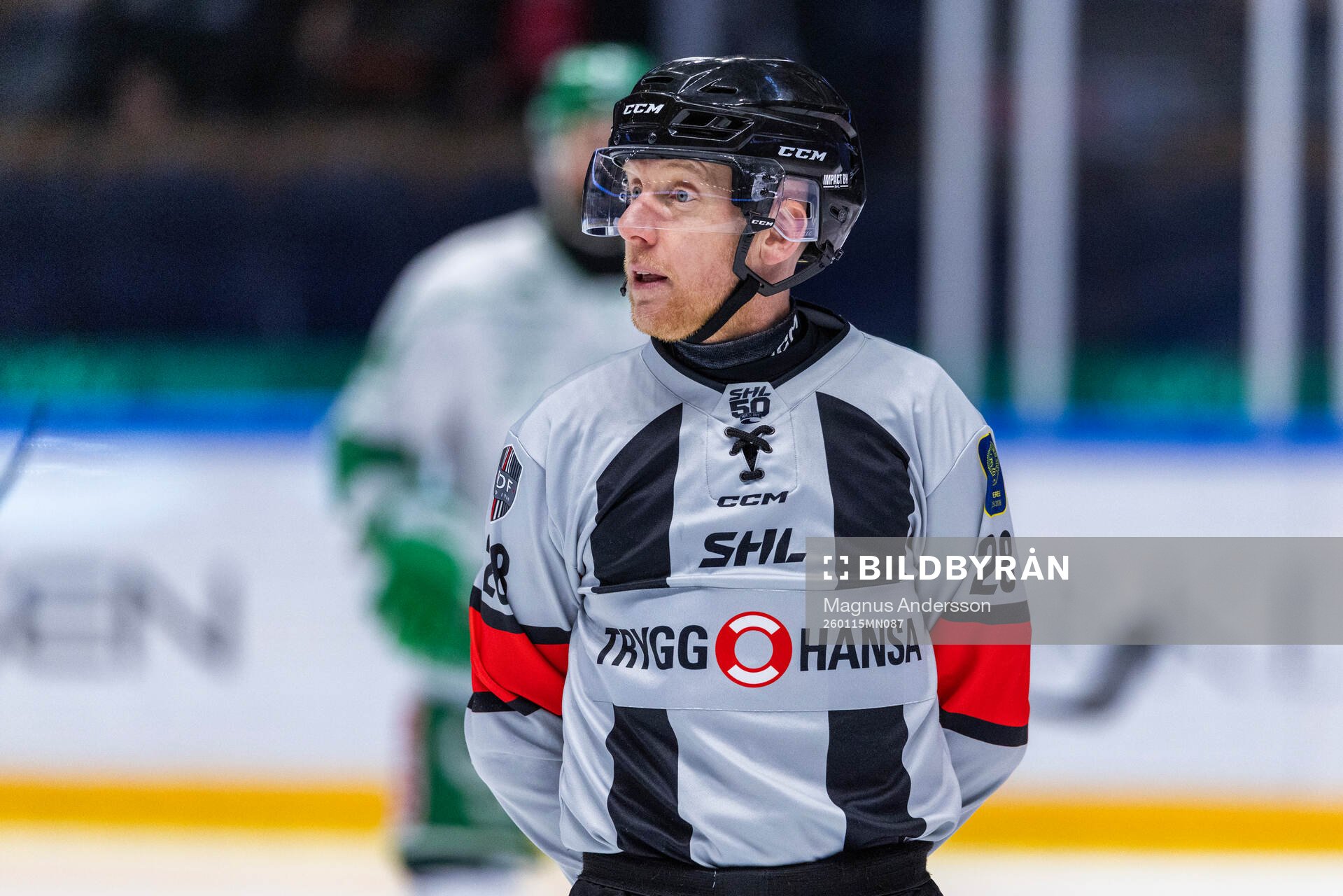 Domare Mikael Holm
