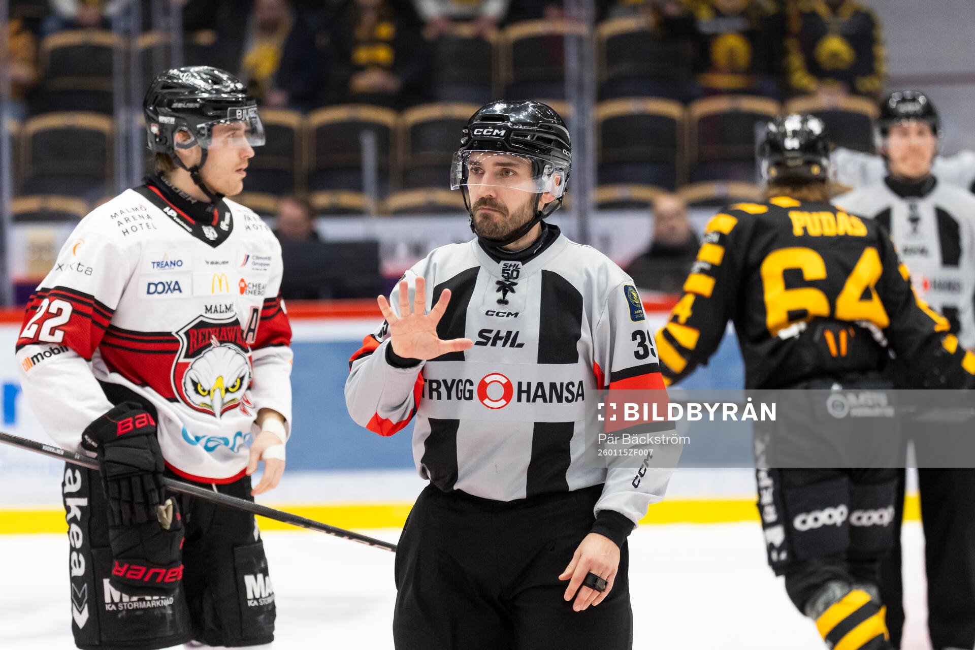 Domare Mattias Enroth