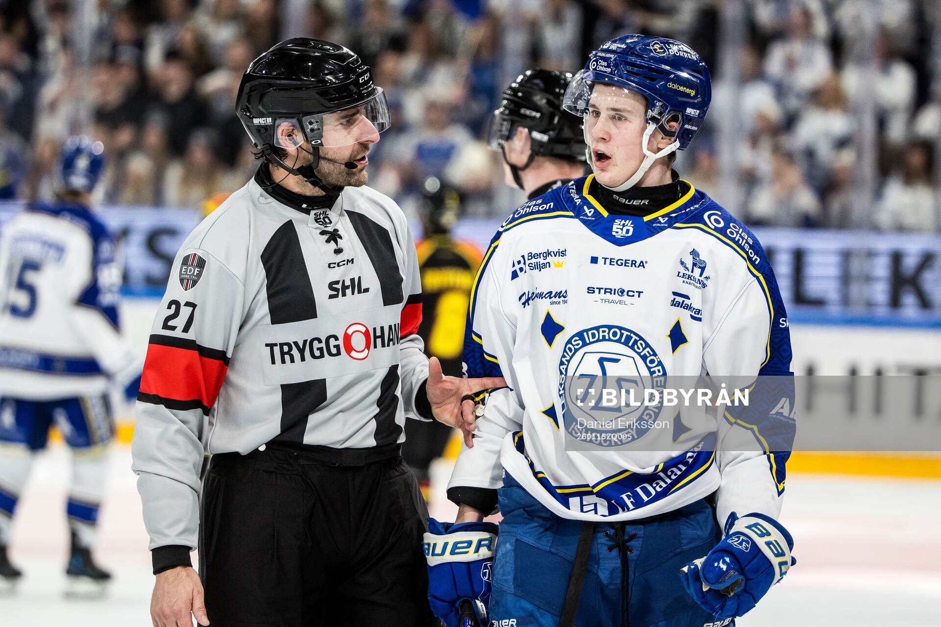 Domare Mikael Sjöqvist och Leksands Tinus Luc Koblar