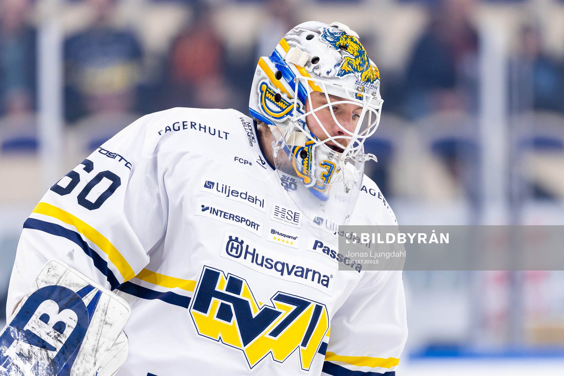 HV71s målvakt Felix Sandström
