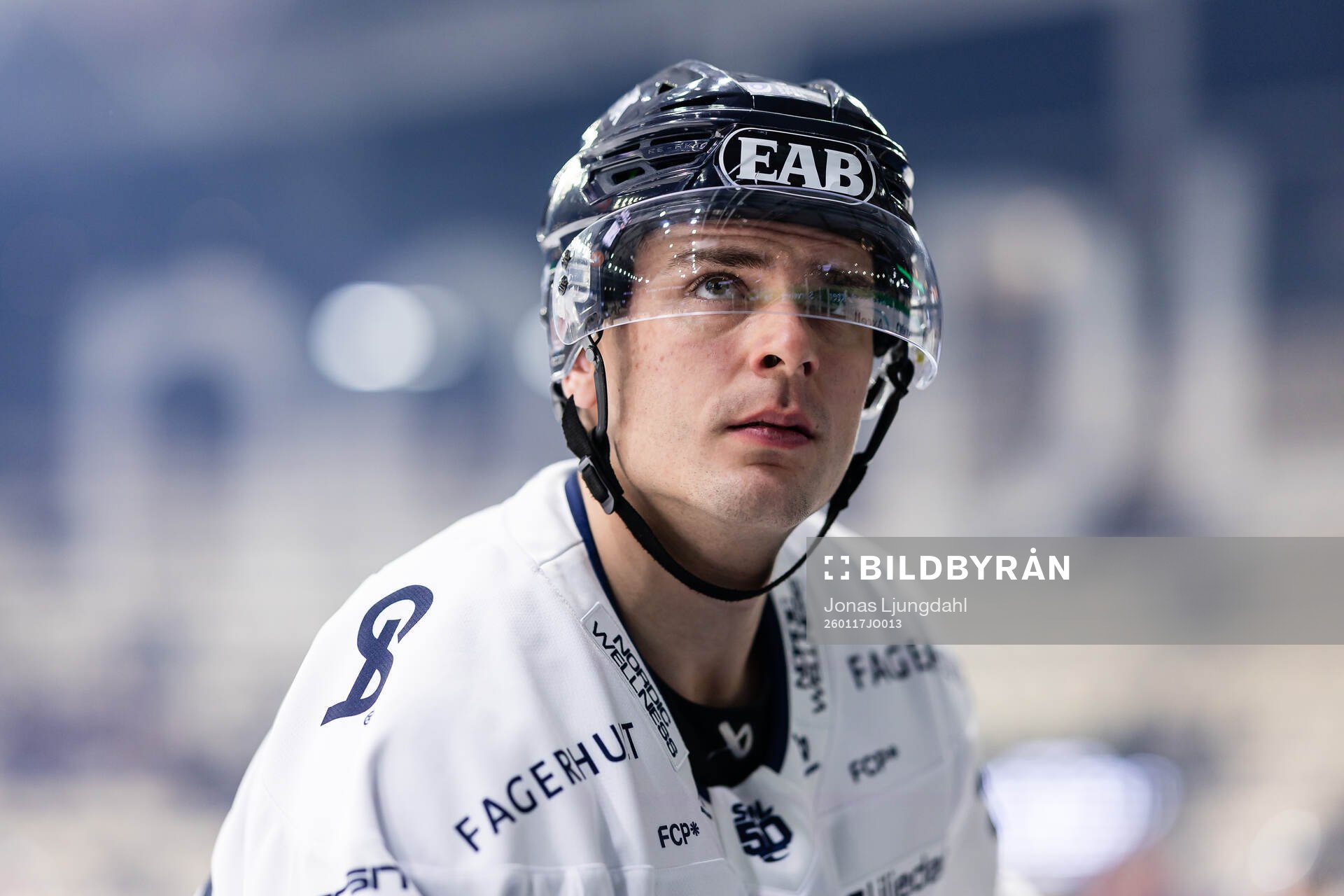 HV71s Nikola Pasic