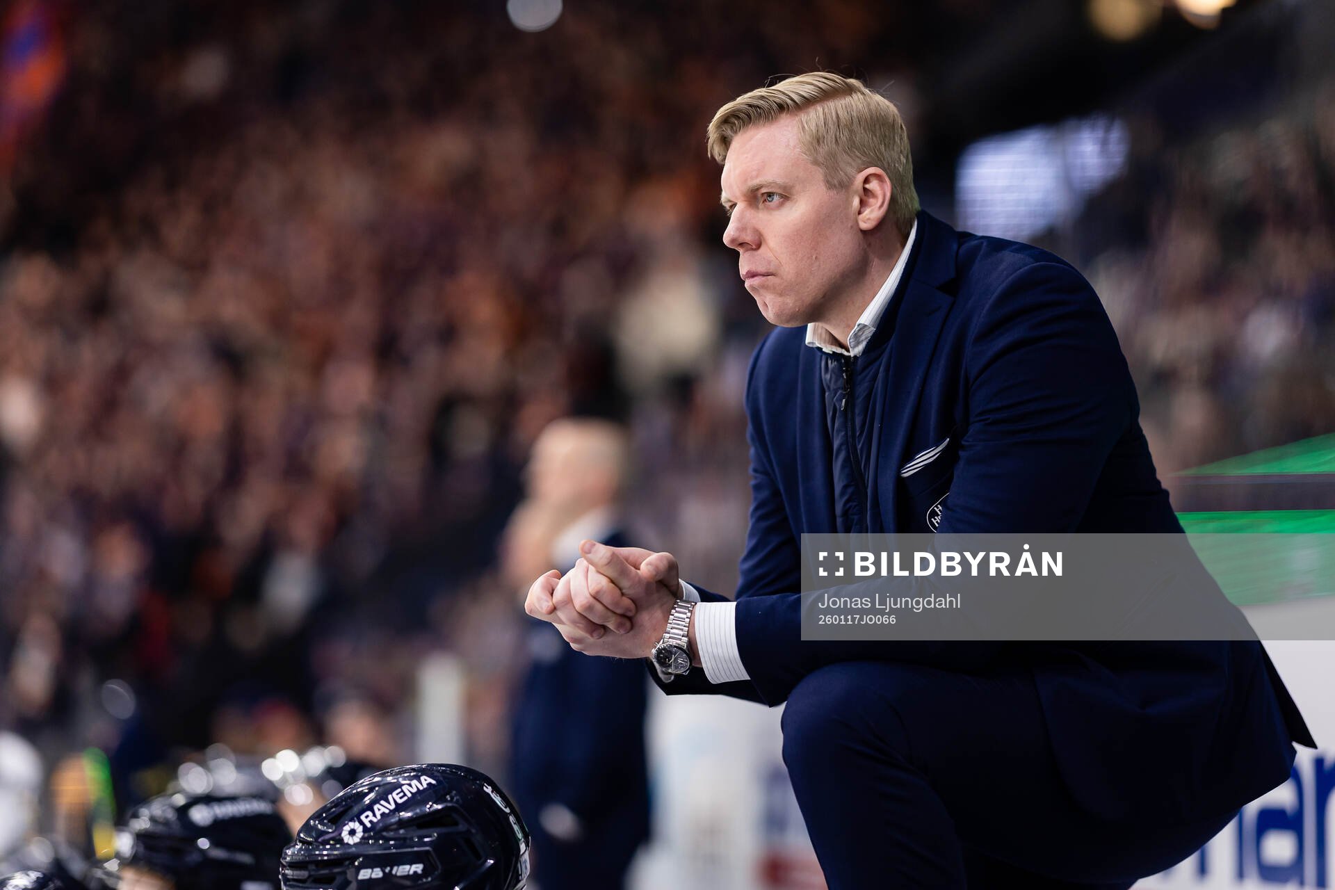 HV71s tränare Anton Blomqvist