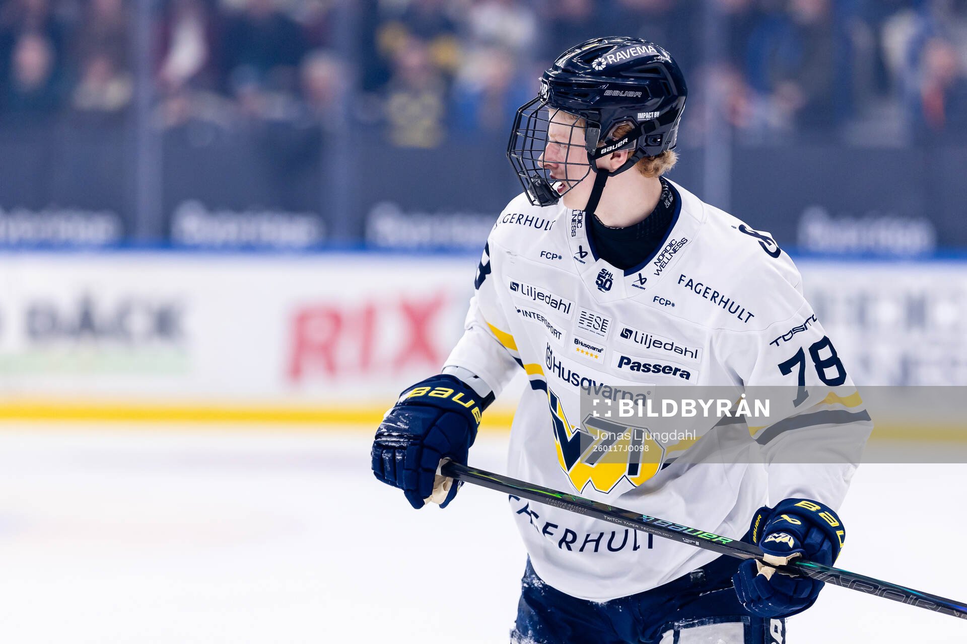 HV71s Malte Gustafsson