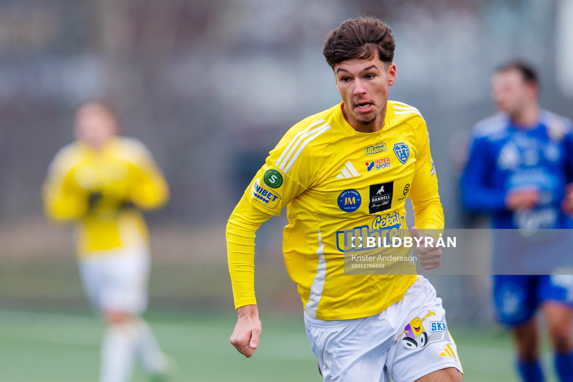 Falkenbergs Lion Beqiri