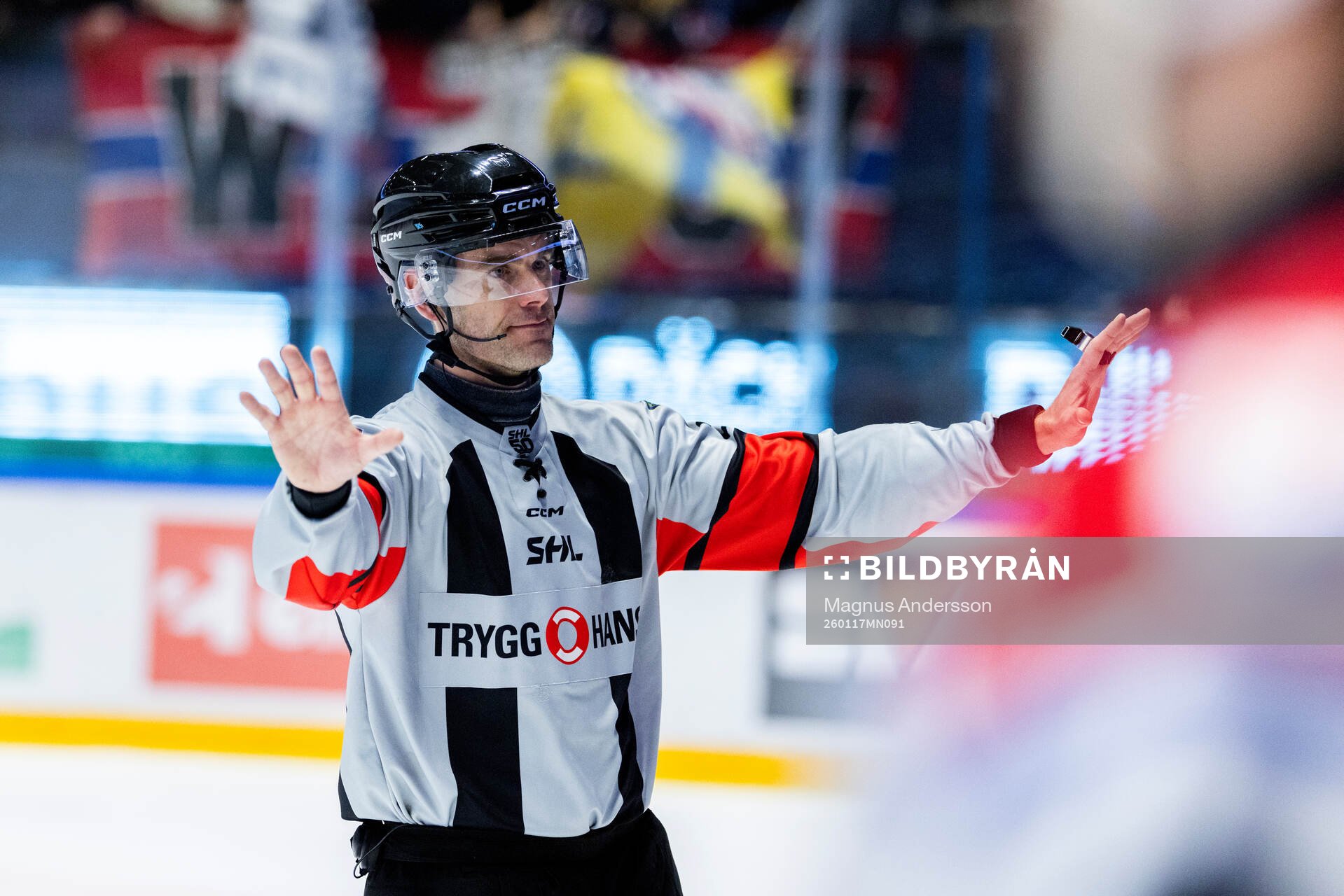 Domare Richard Magnusson