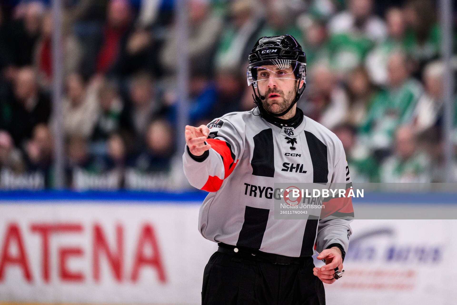 Domare Mikael Sjöqvist