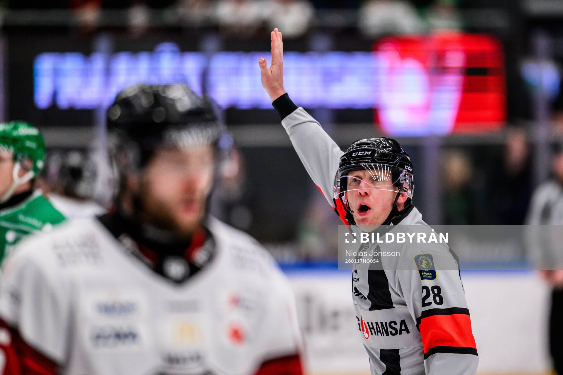 Domare Mikael Holm