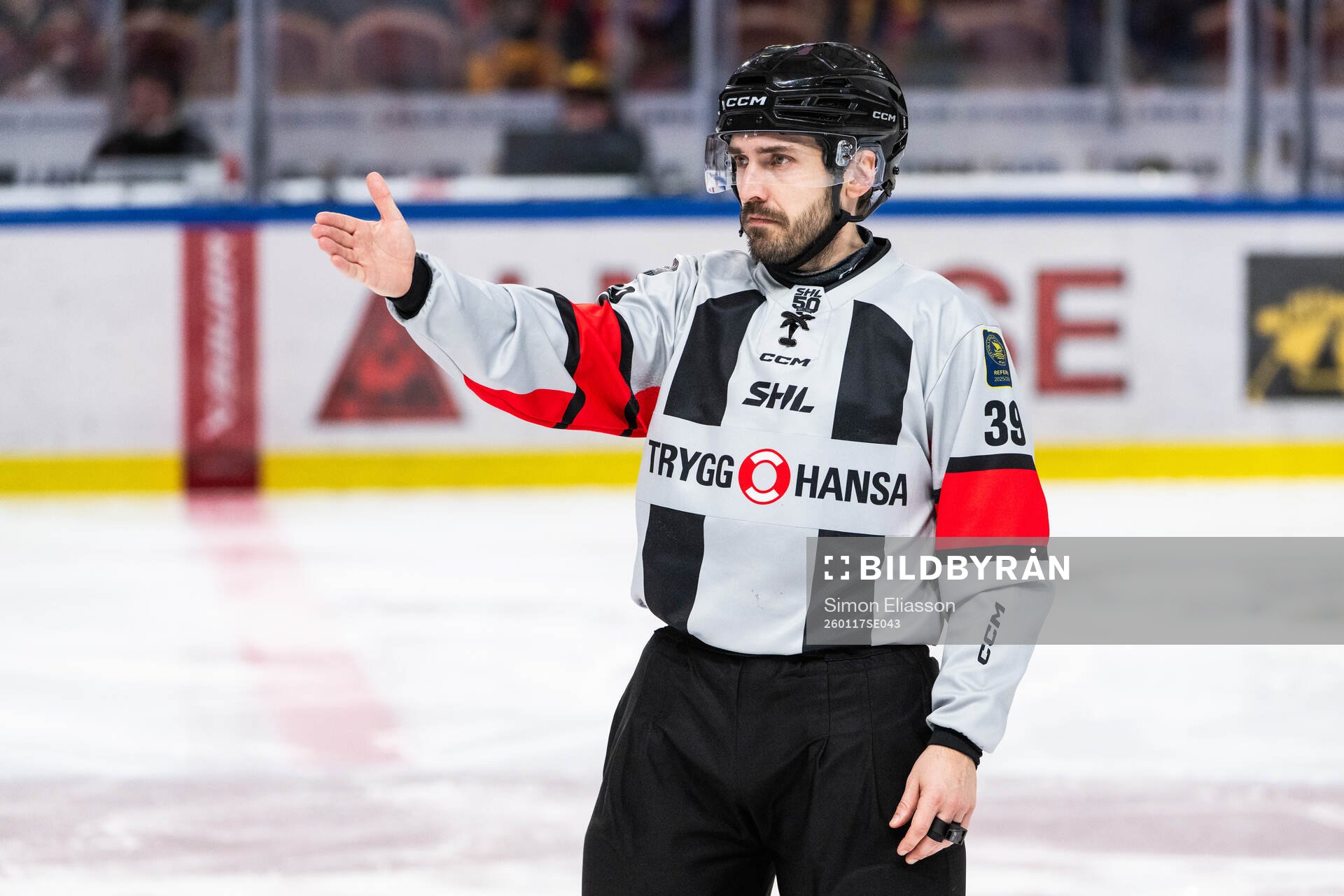 Domare Mattias Enroth