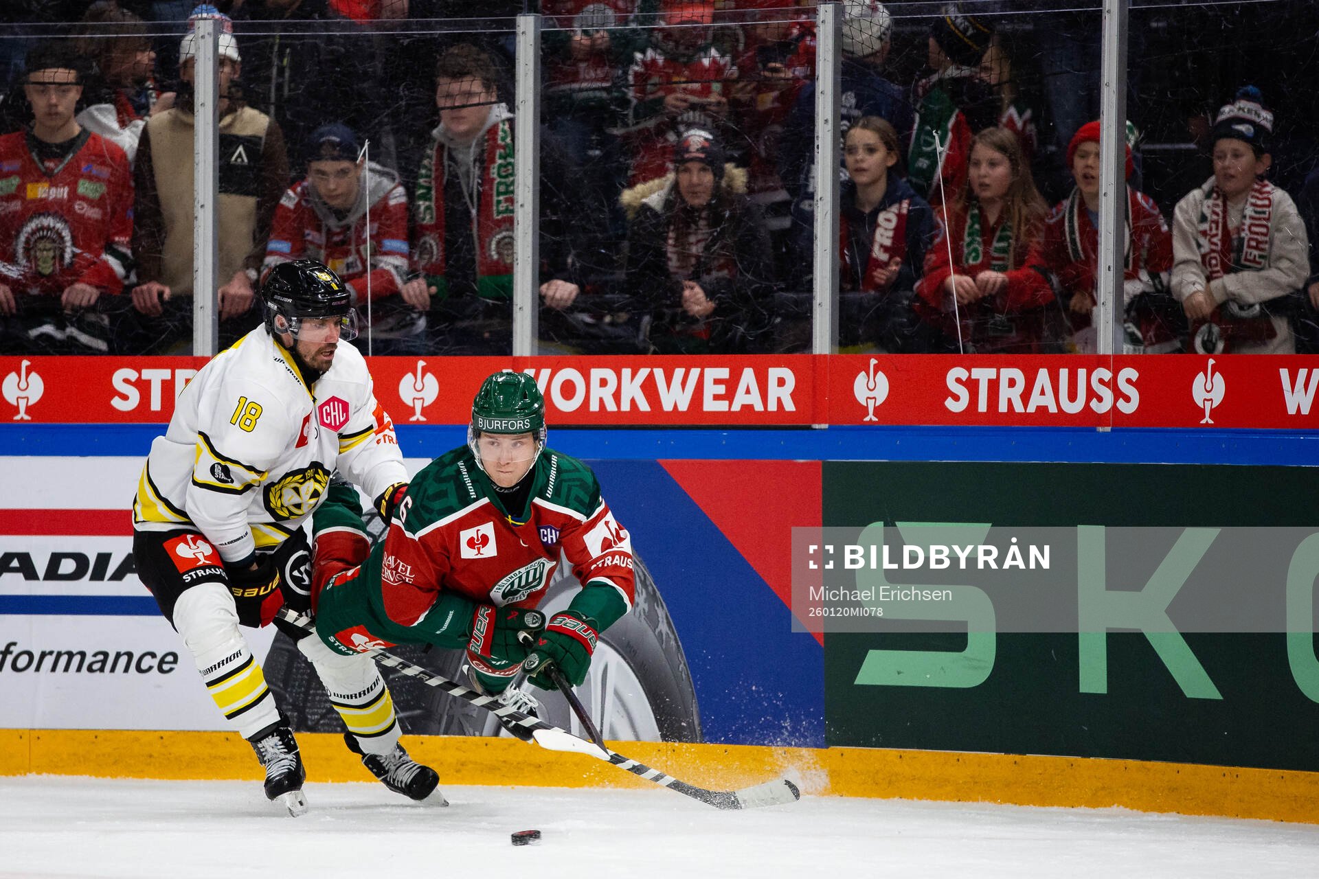 Anton Rödin of Brynäs and Filip Hasa of Frölunda
