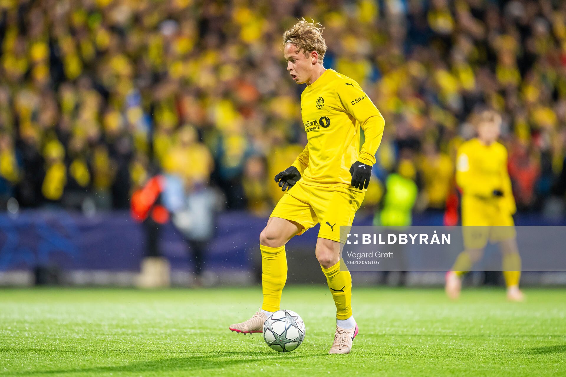 Sondre Auklend of Bodø/Glimt