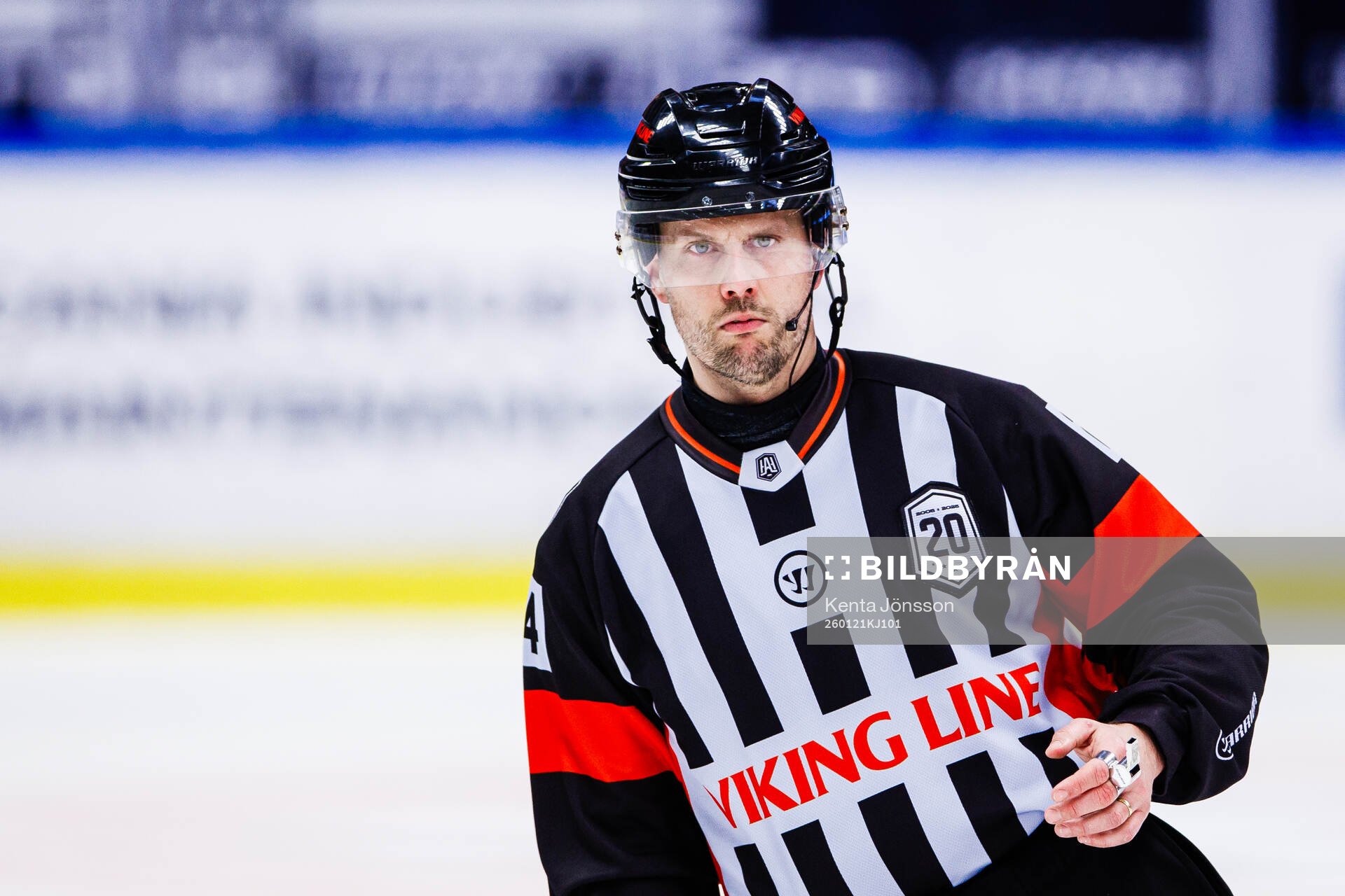 Domare Johan Magnusson
