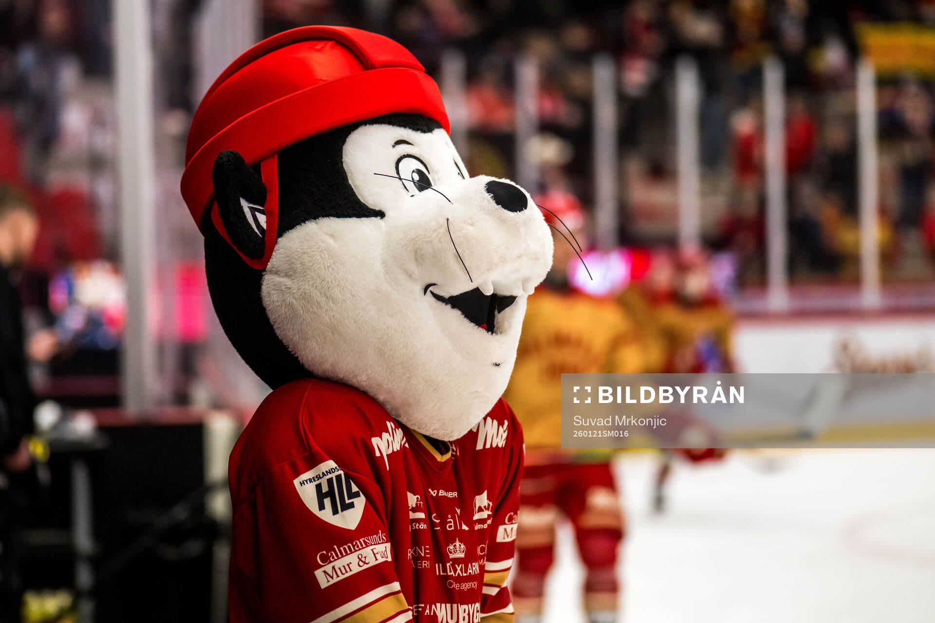 Kalmars maskot Biffe