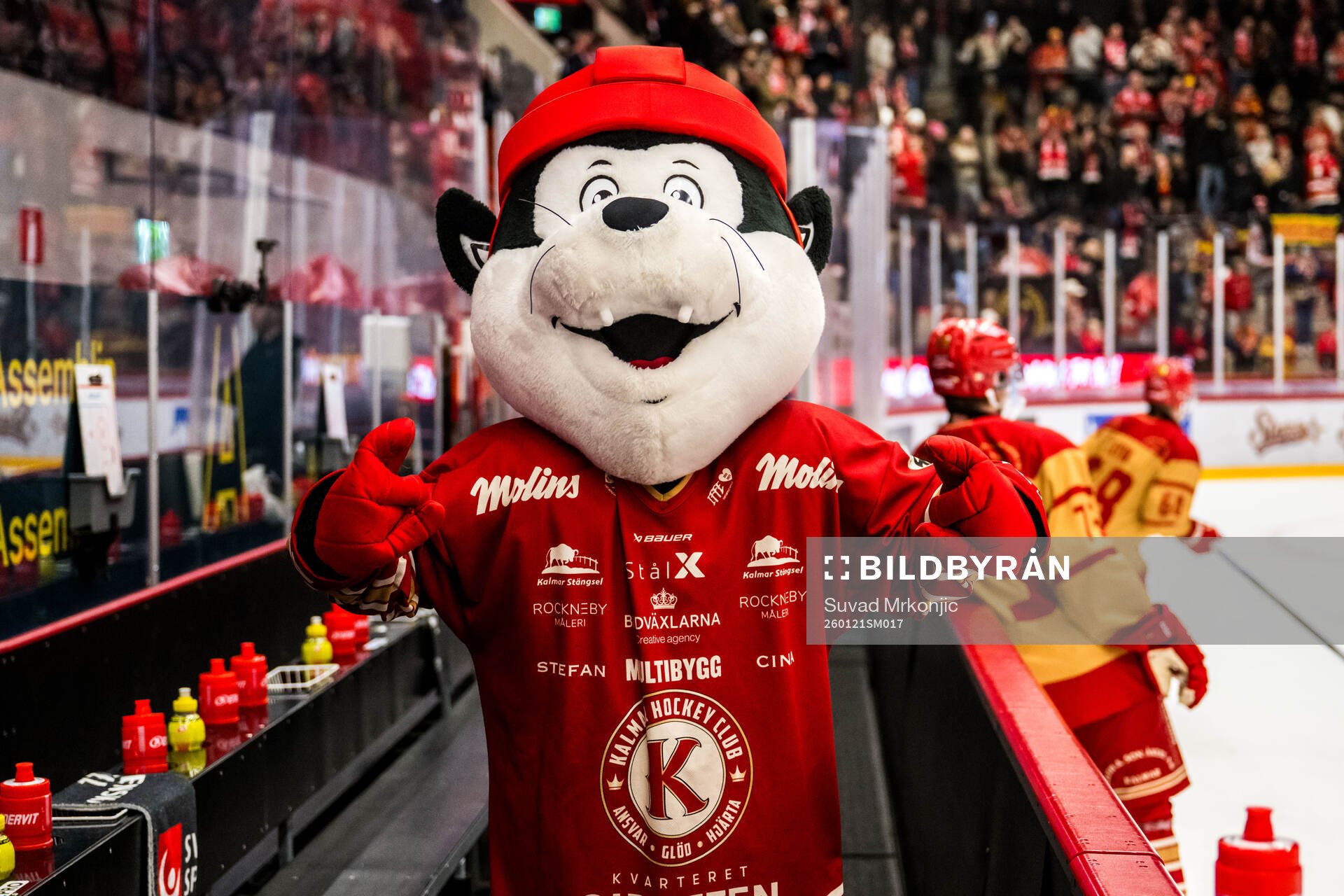 Kalmars maskot Biffe
