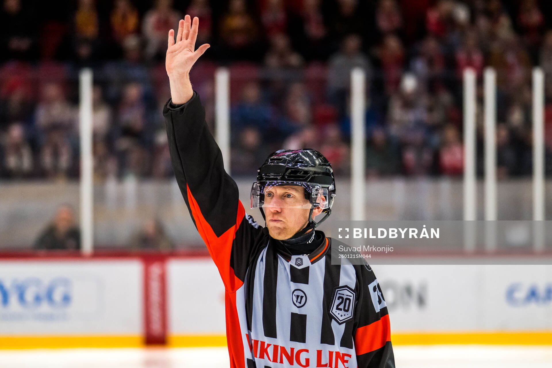 Domare Mikael Holm