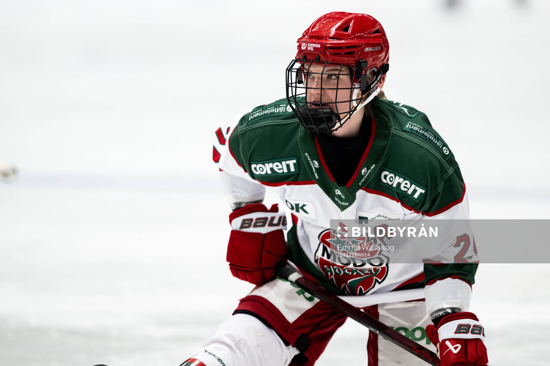 Modos Ebba Hedqvist