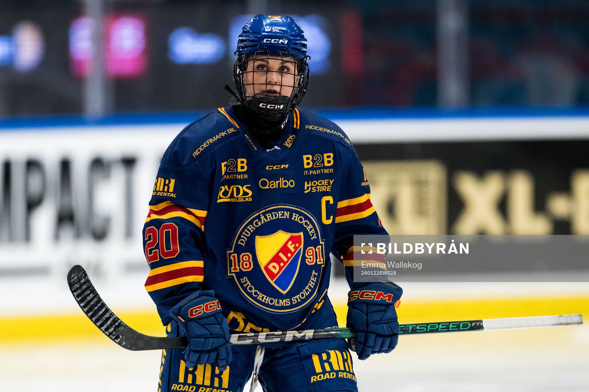 Djurgårdens Brette Pettet