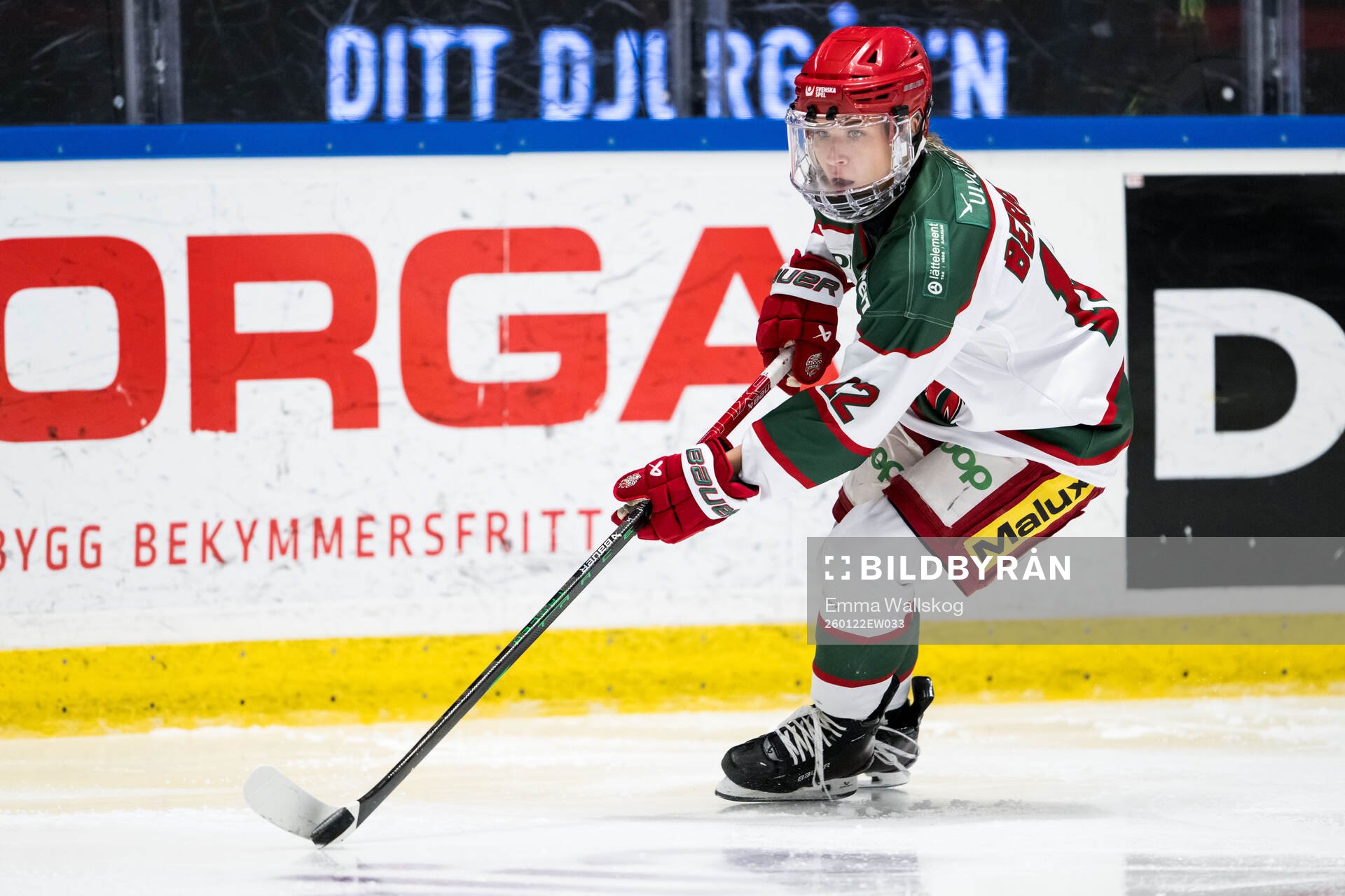 Modos Ebba Berglund