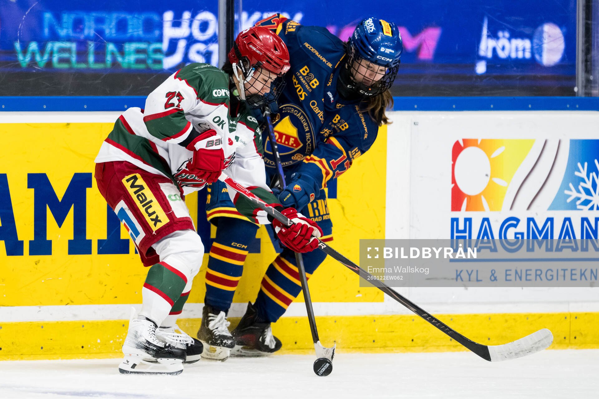 Modos Aoi Shiga och Djurgårdens Saga Odebrant