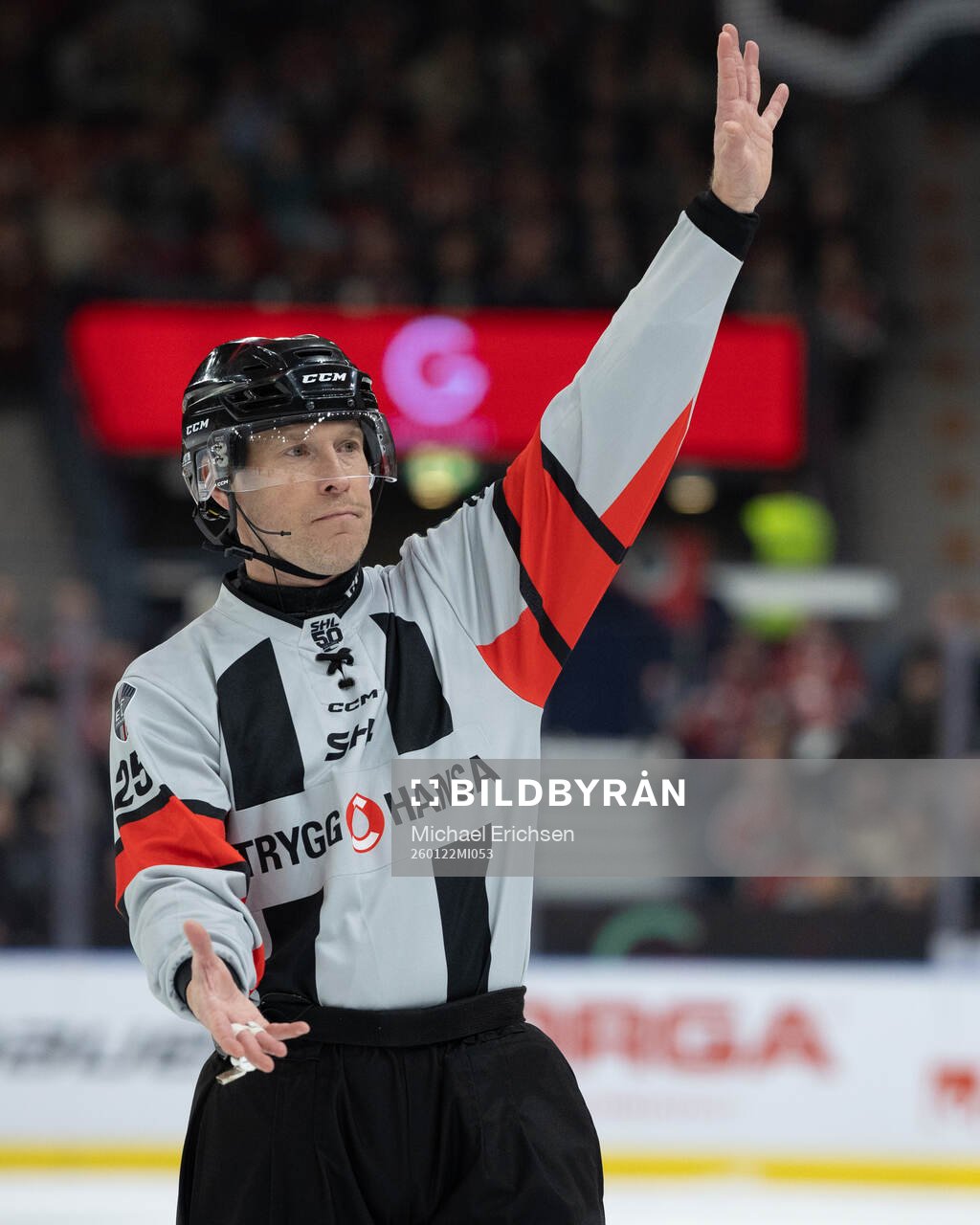 Domare Tobias Björk