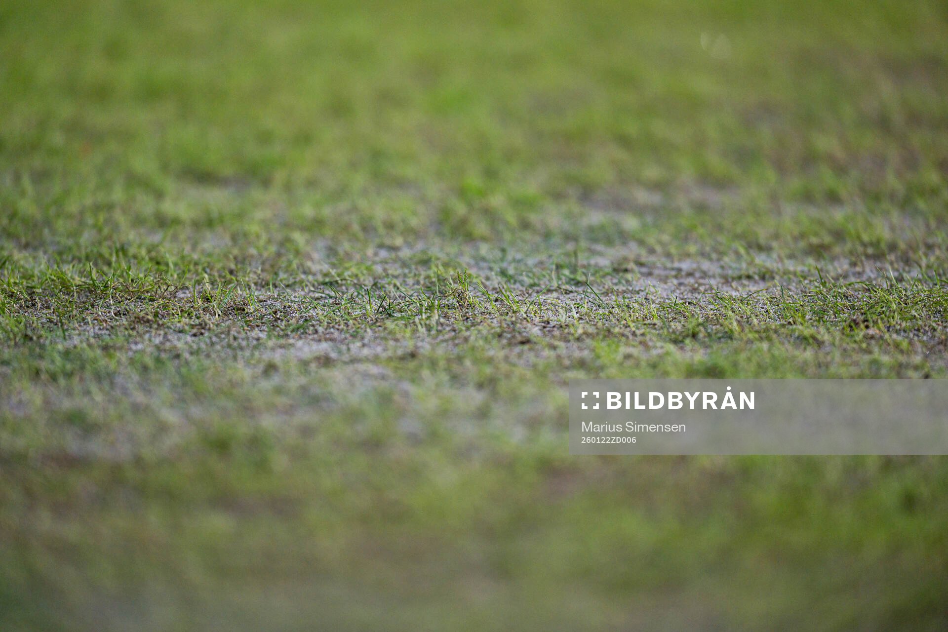 Quality of the grass at Brann Stadion