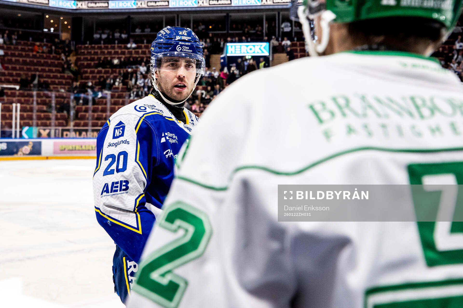 Leksands Nolan Stevens