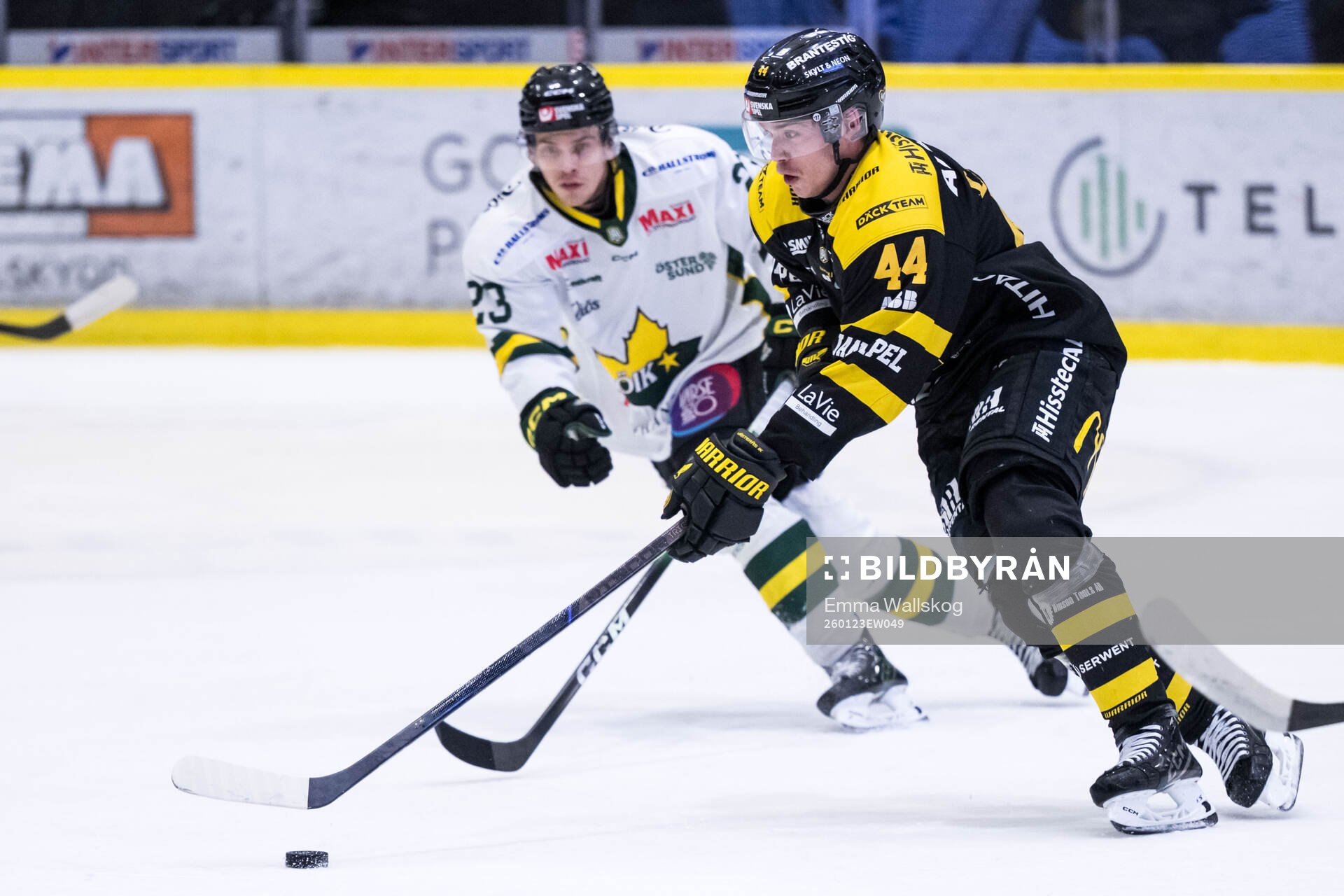 Västerås Oscar Lawner
